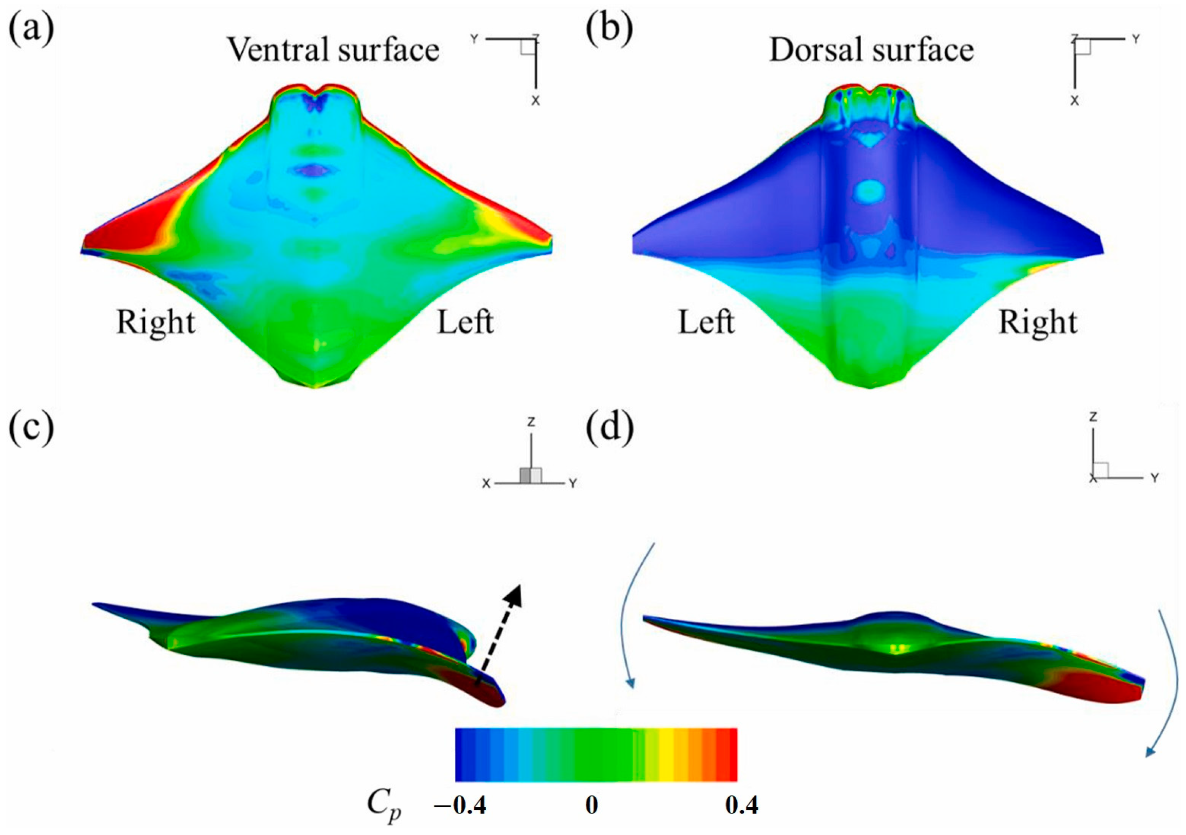 円高還元 in Plate HUMPBACK plesiosaur ENGINEERING of Joint Joint