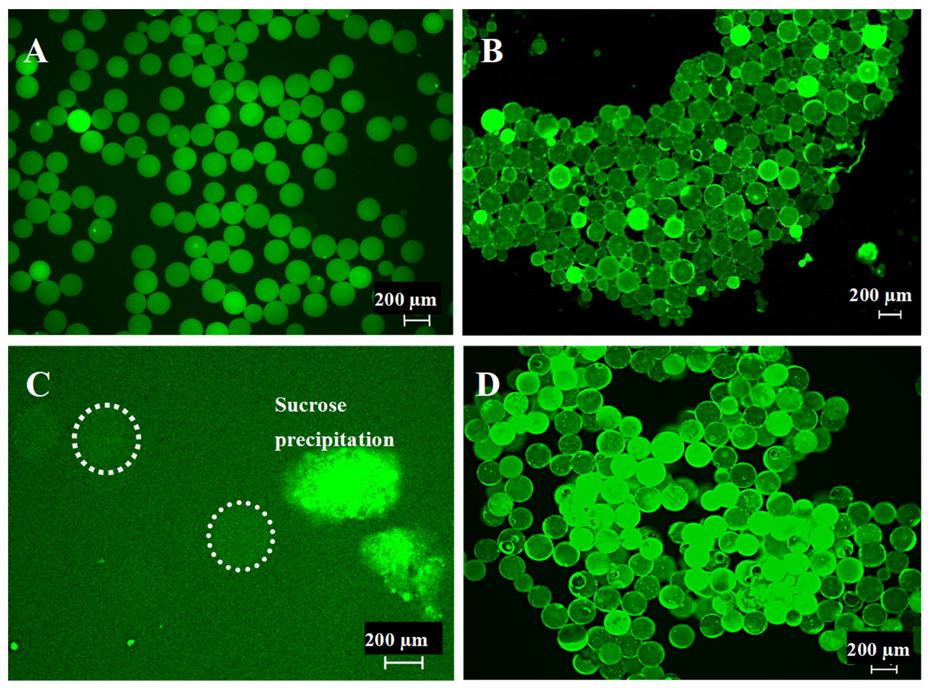 Biomimetics 09 00094 g002