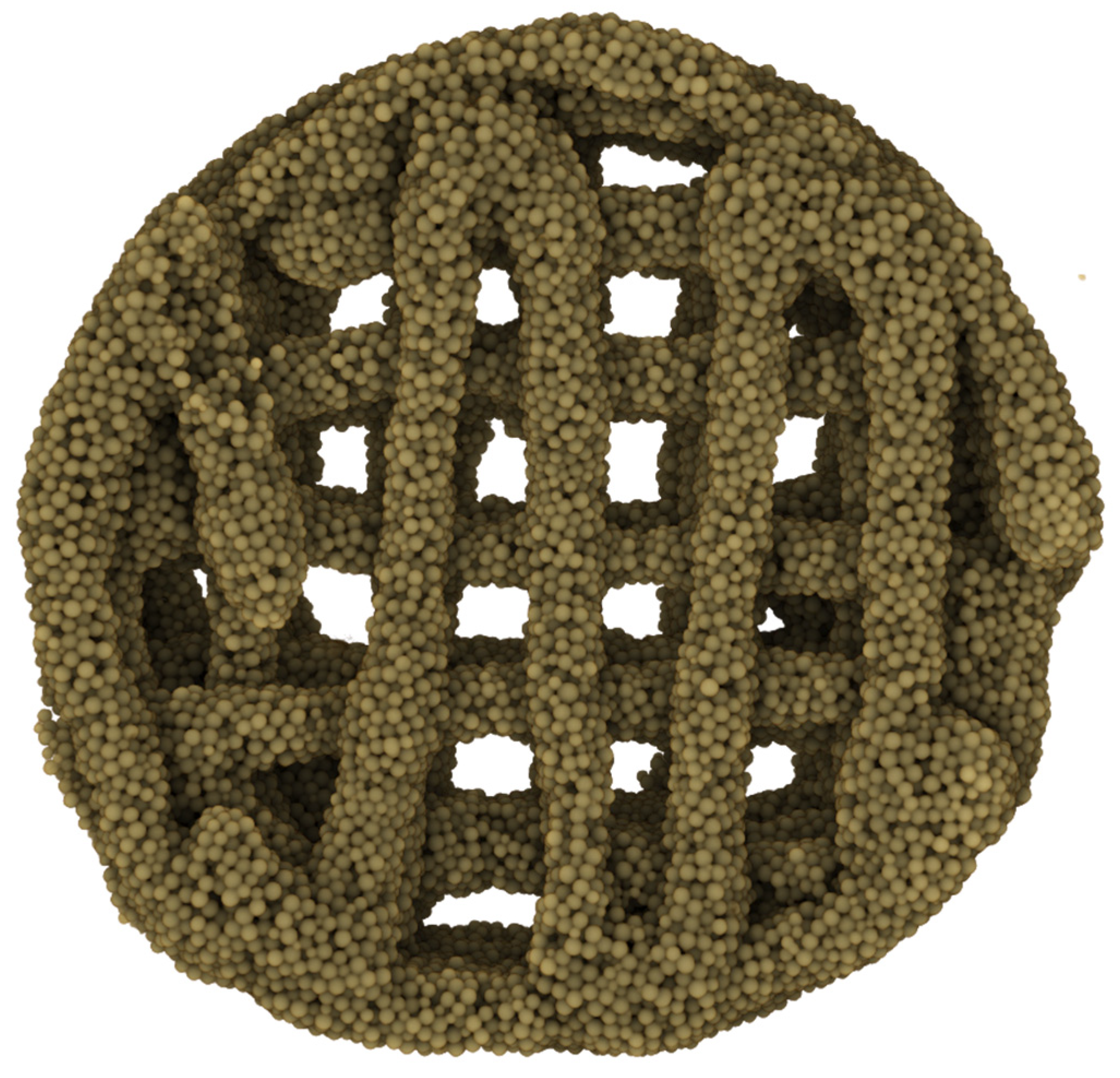 Biomimetics 09 00094 g004