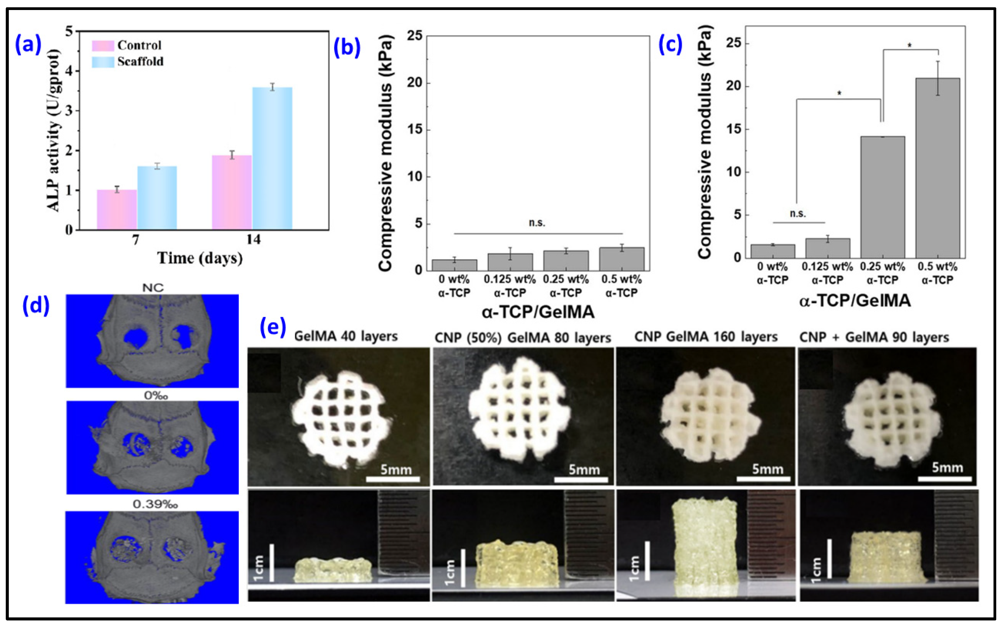 Biomimetics 09 00095 g004