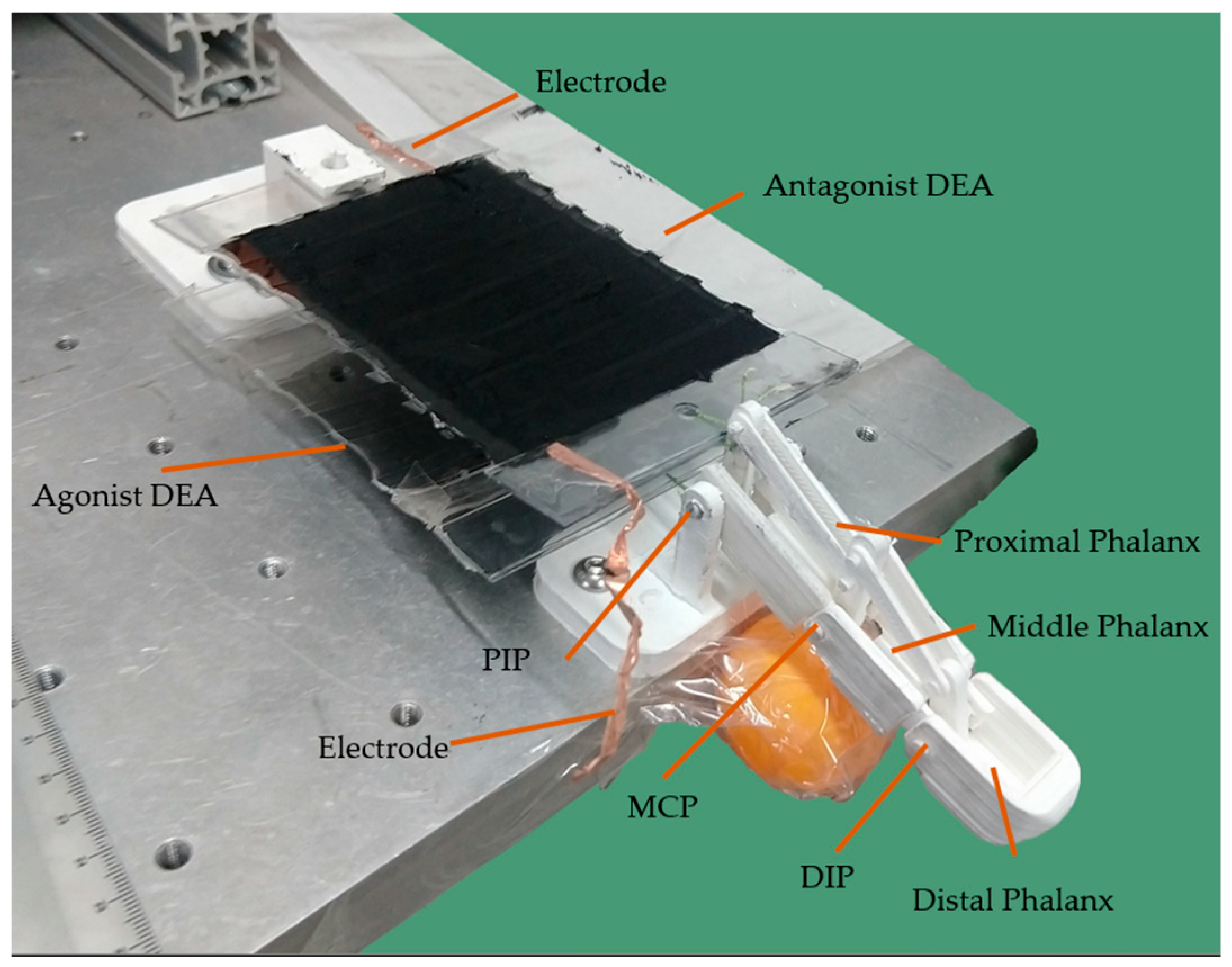 Biomimetics 09 00110 g007