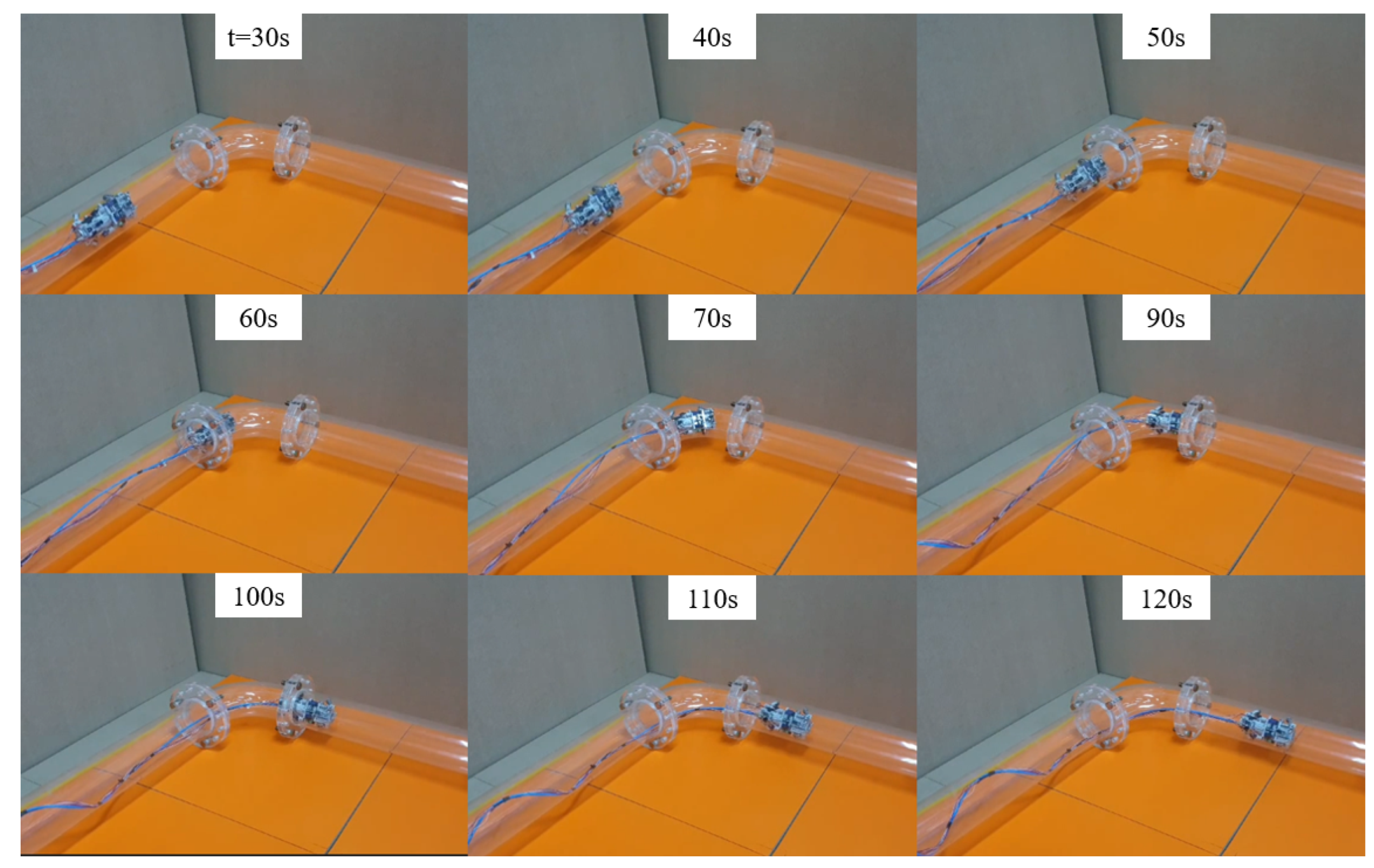 Biomimetics 09 00113 g016