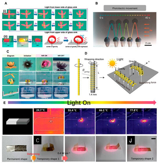Light-activated shape morphing and light-tracking materials using  biopolymer-based programmable photonic nanostructures