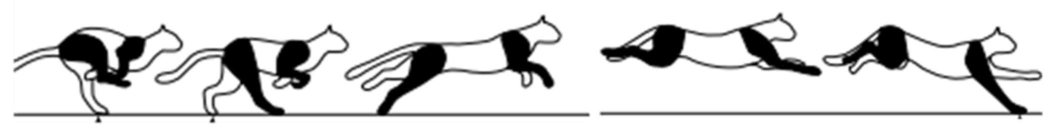 Biomimetics 09 00132 g004