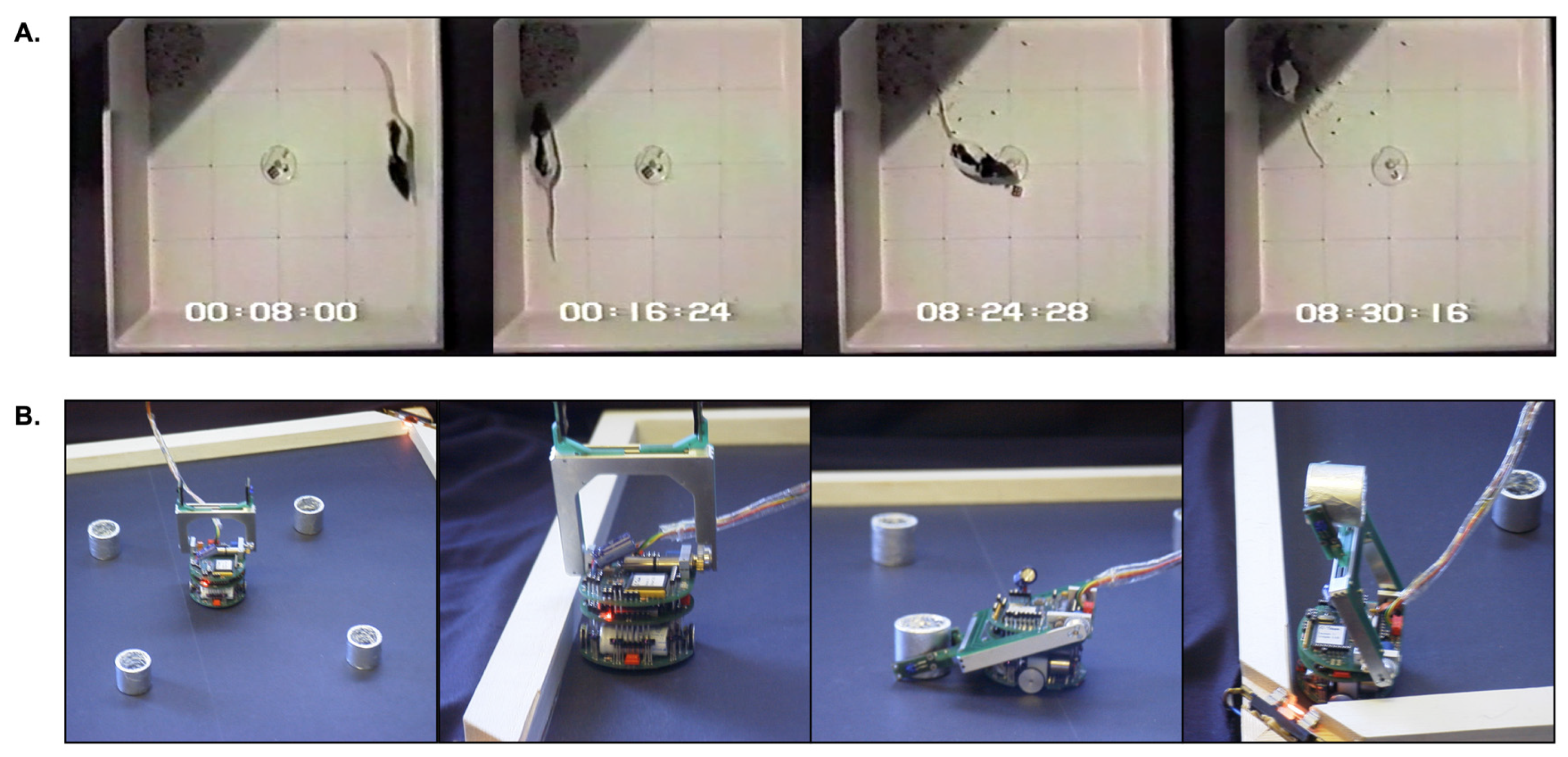 Biomimetics 09 00139 g002 Biomimetics 09 00139 g002