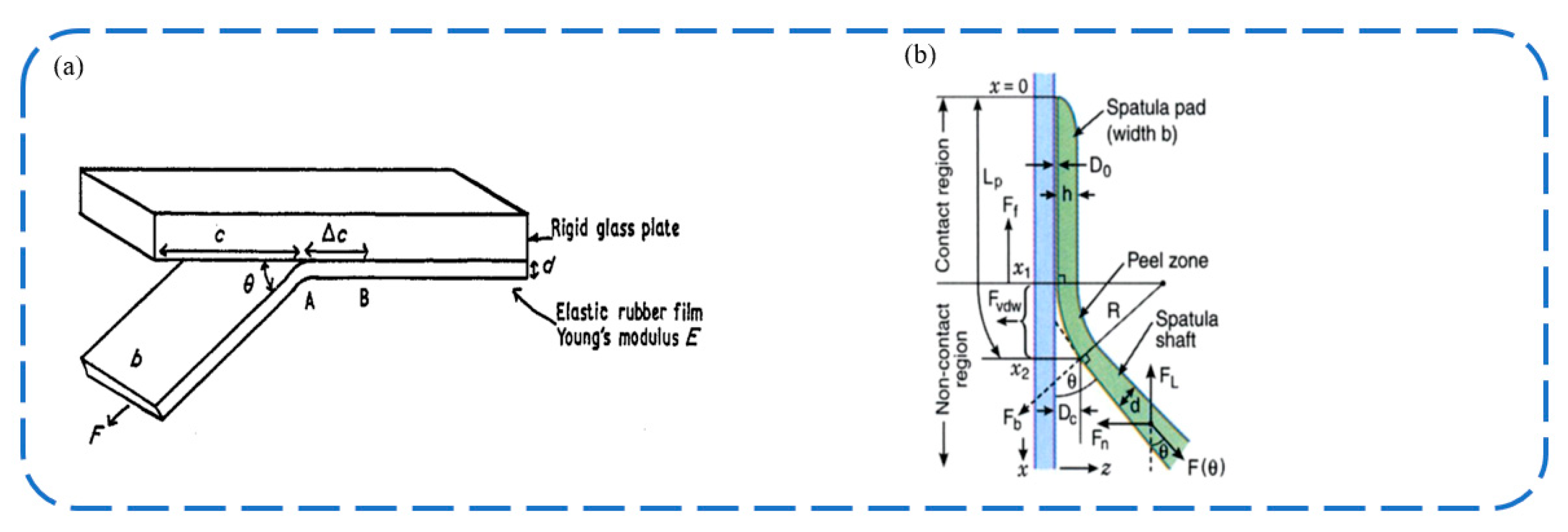 Biomimetics 09 00144 g002