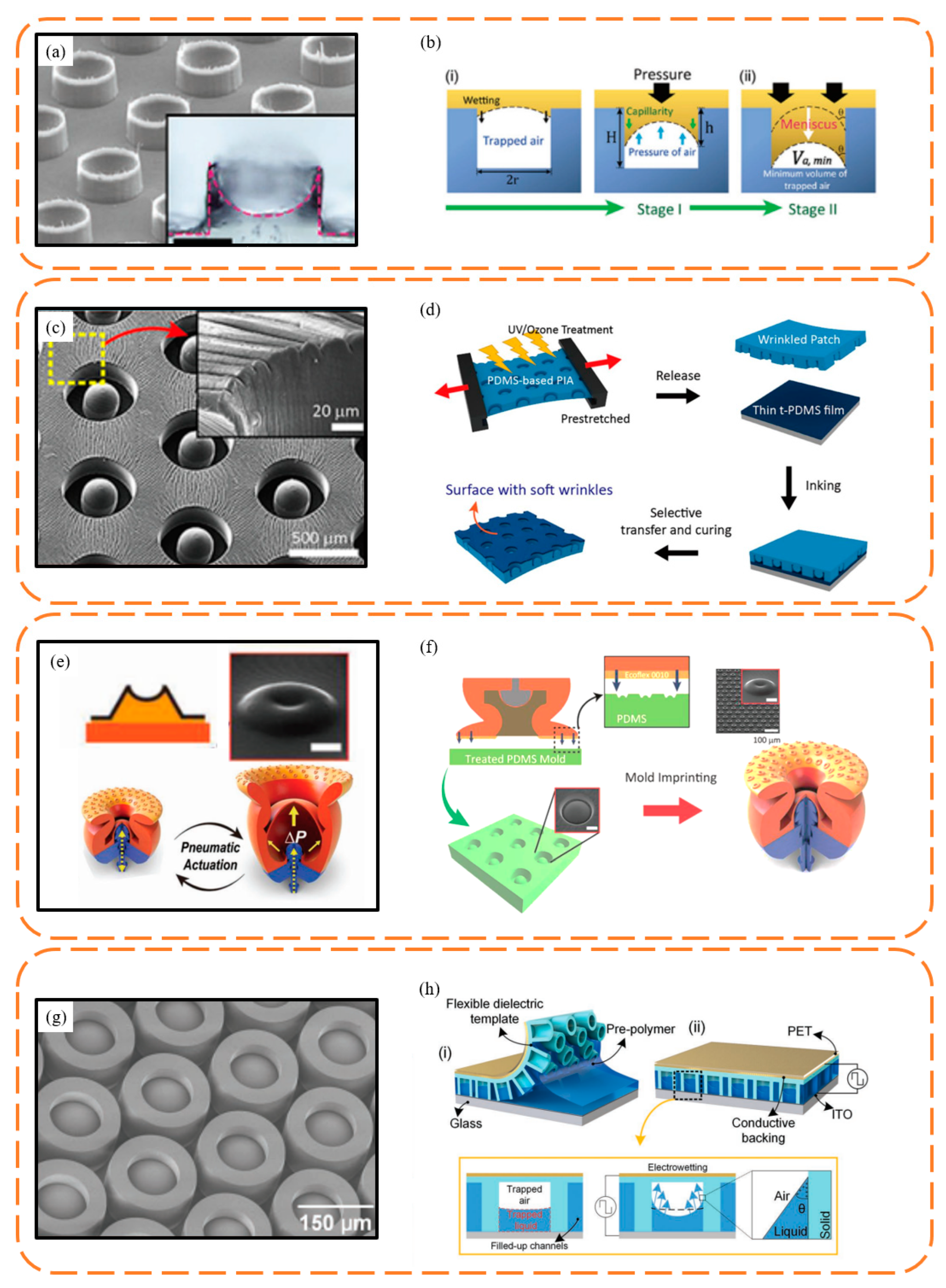 Biomimetics 09 00144 g007
