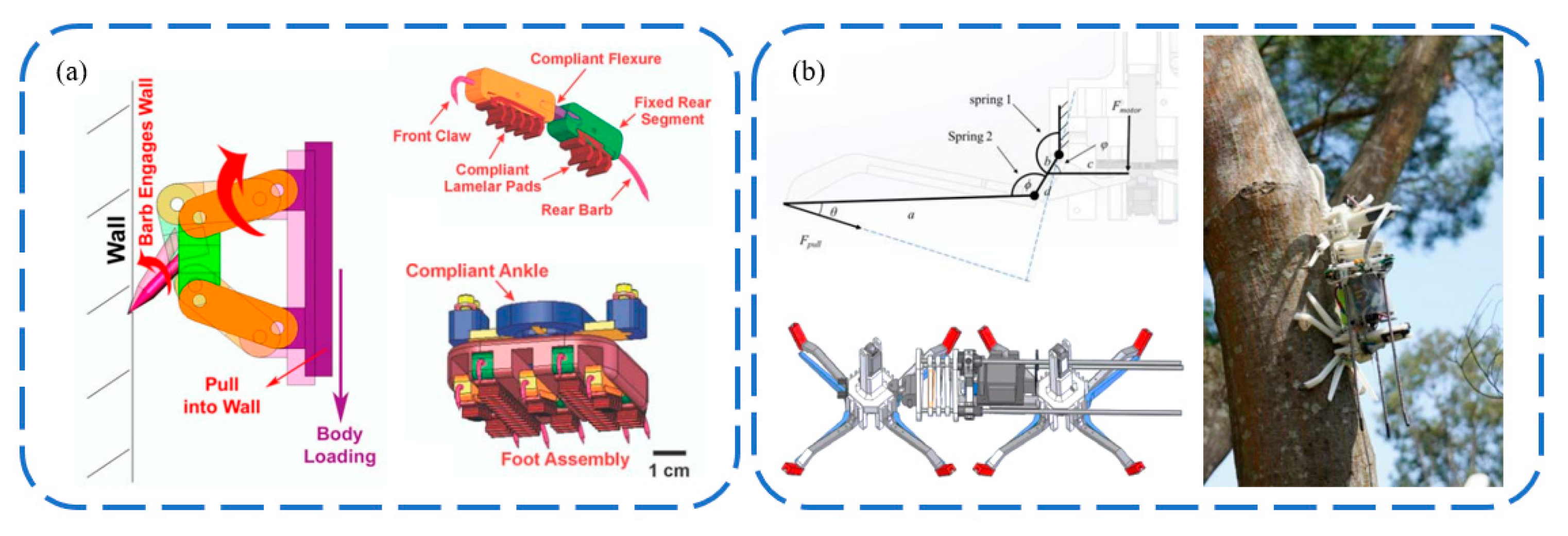 Biomimetics 09 00144 g011