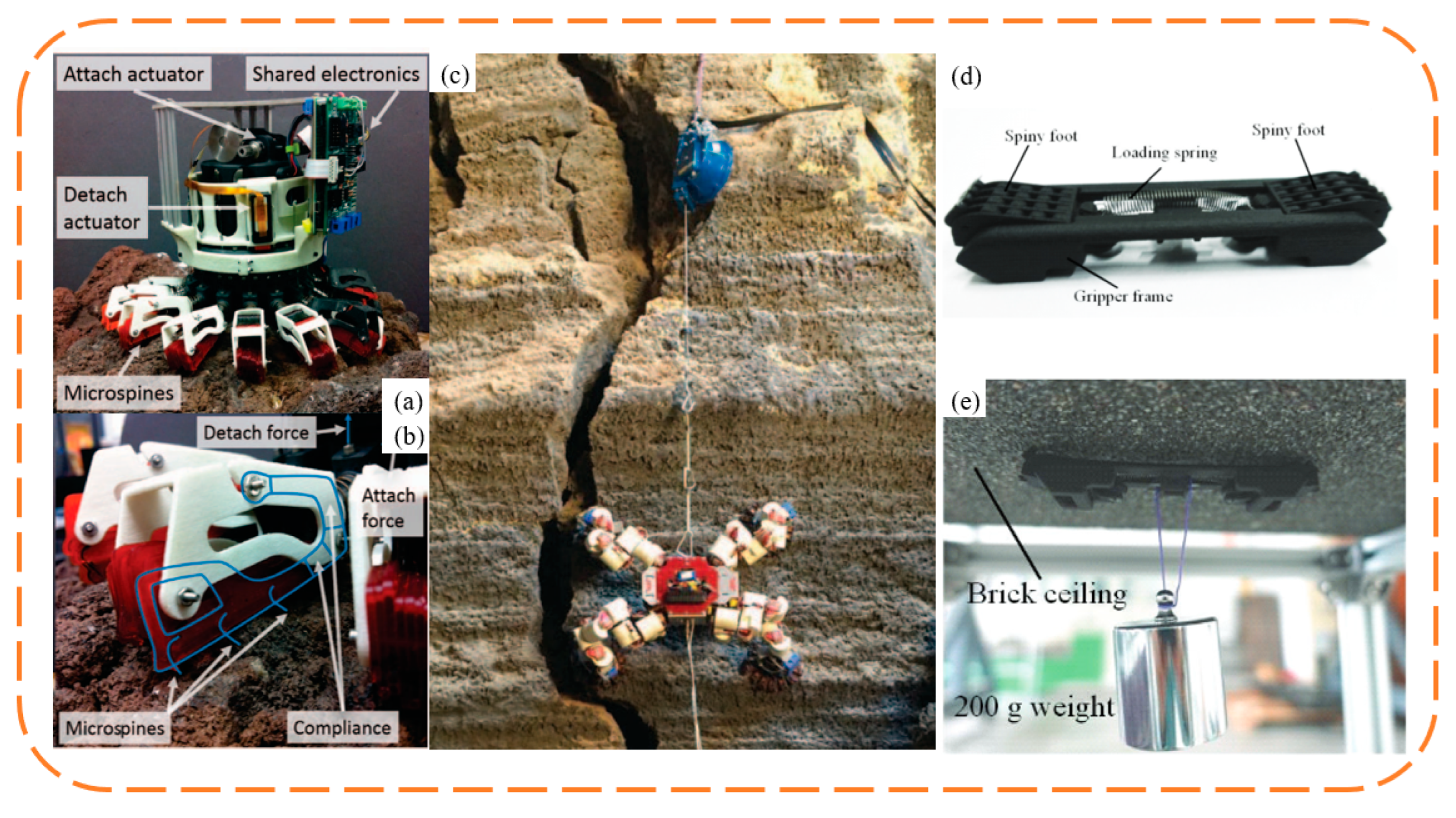 Biomimetics 09 00144 g013