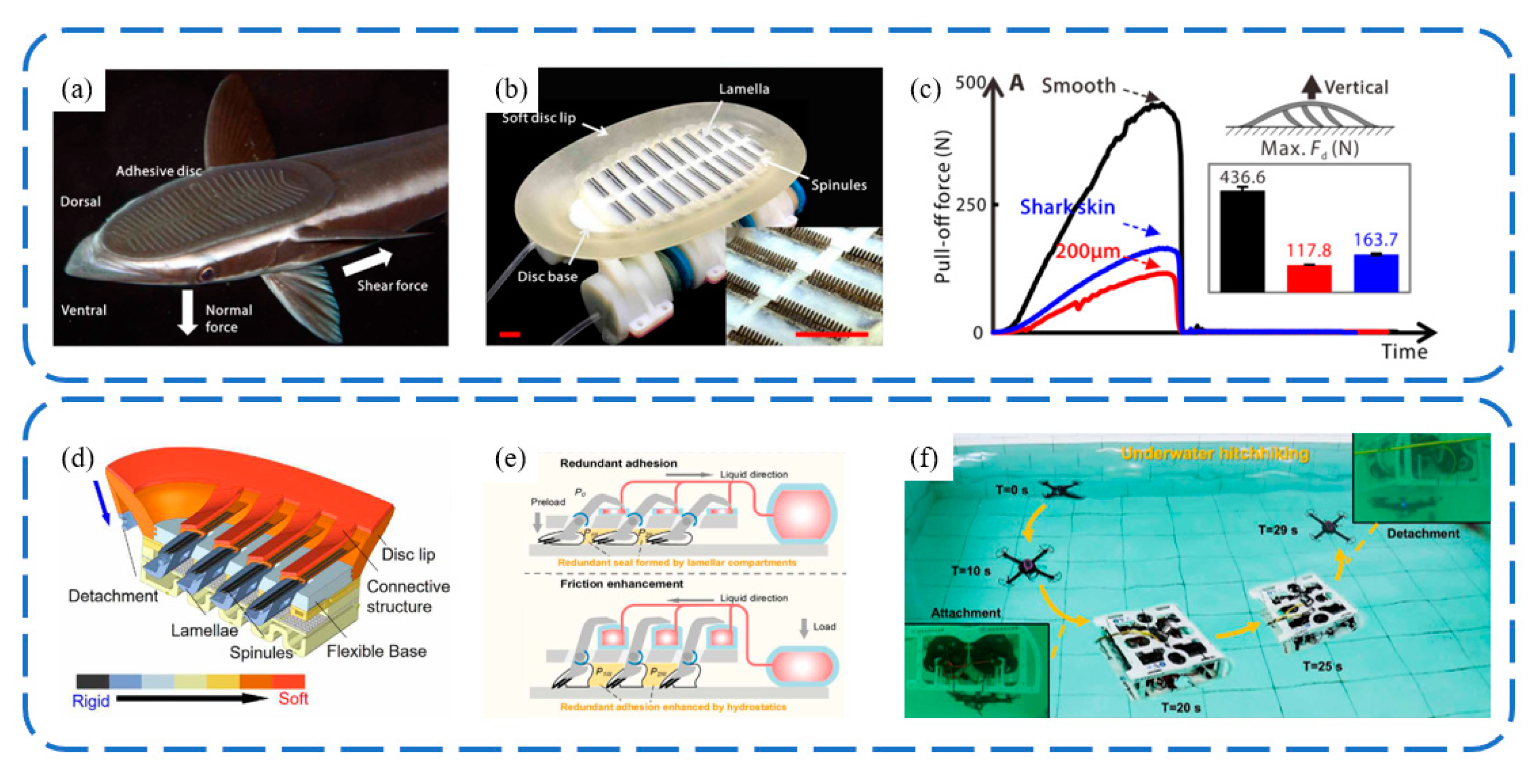 Biomimetics 09 00144 g015