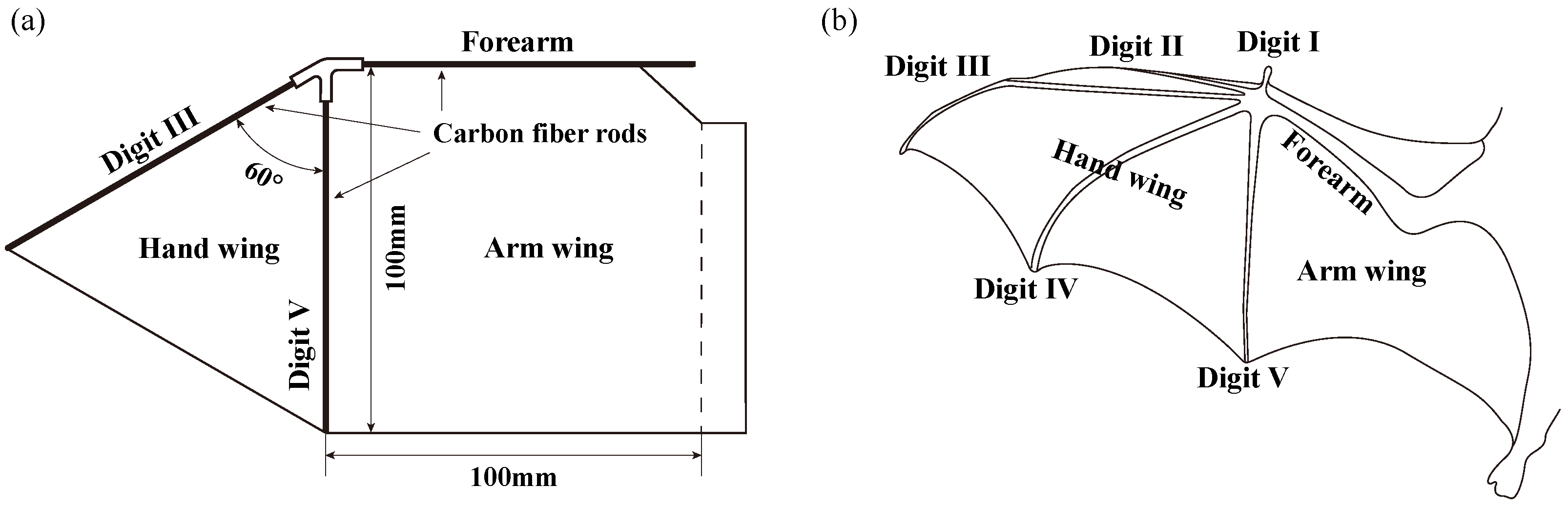 Biomimetics 09 00148 g002