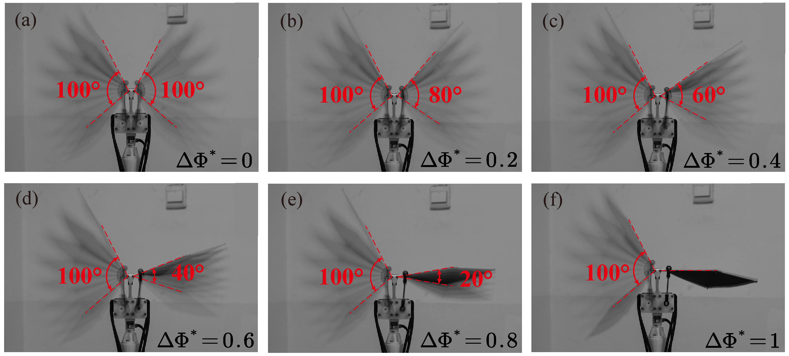 Biomimetics 09 00148 g005