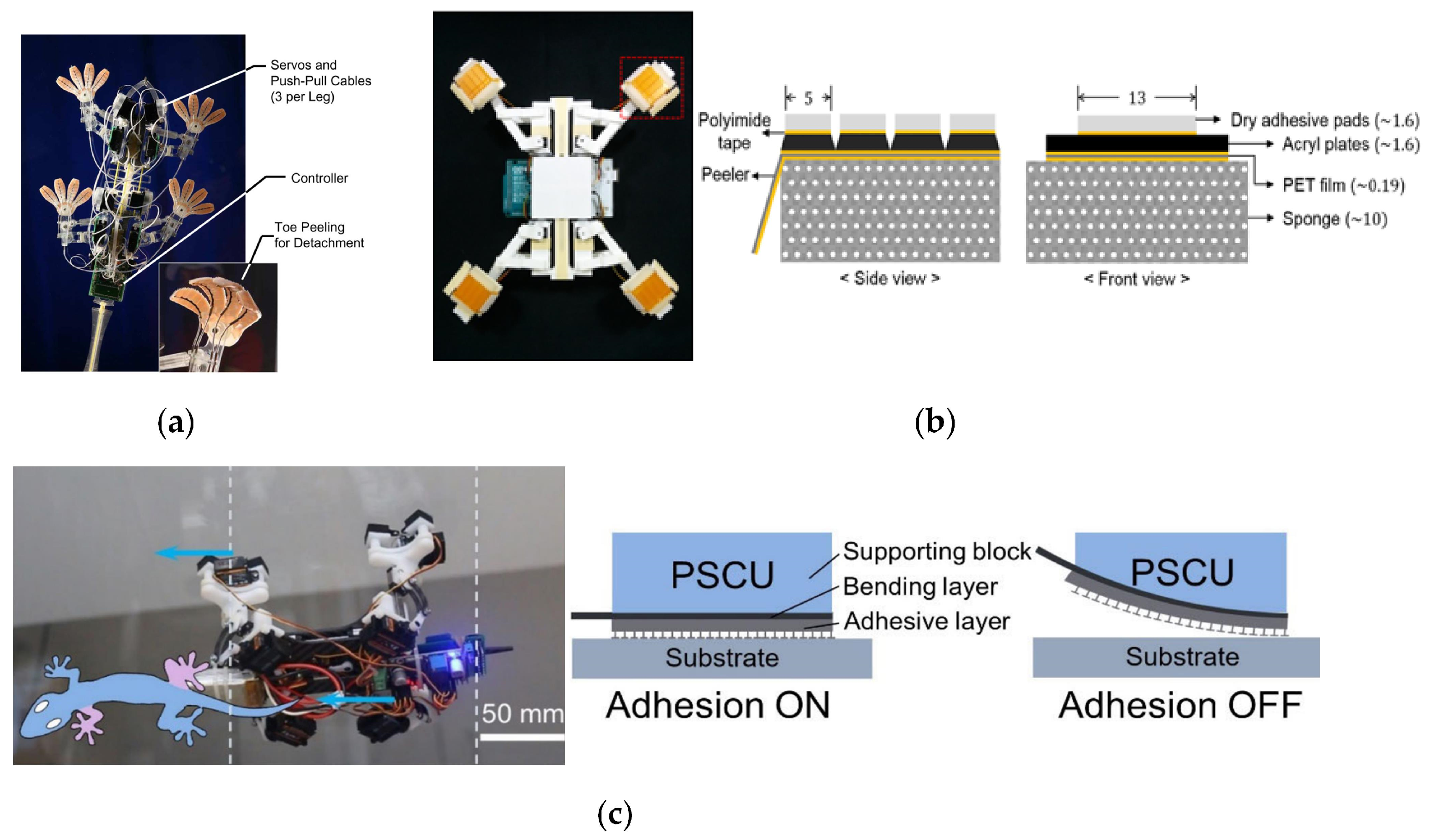 Scientists Can Turn This Gecko-Inspired Gripping Device On or Off