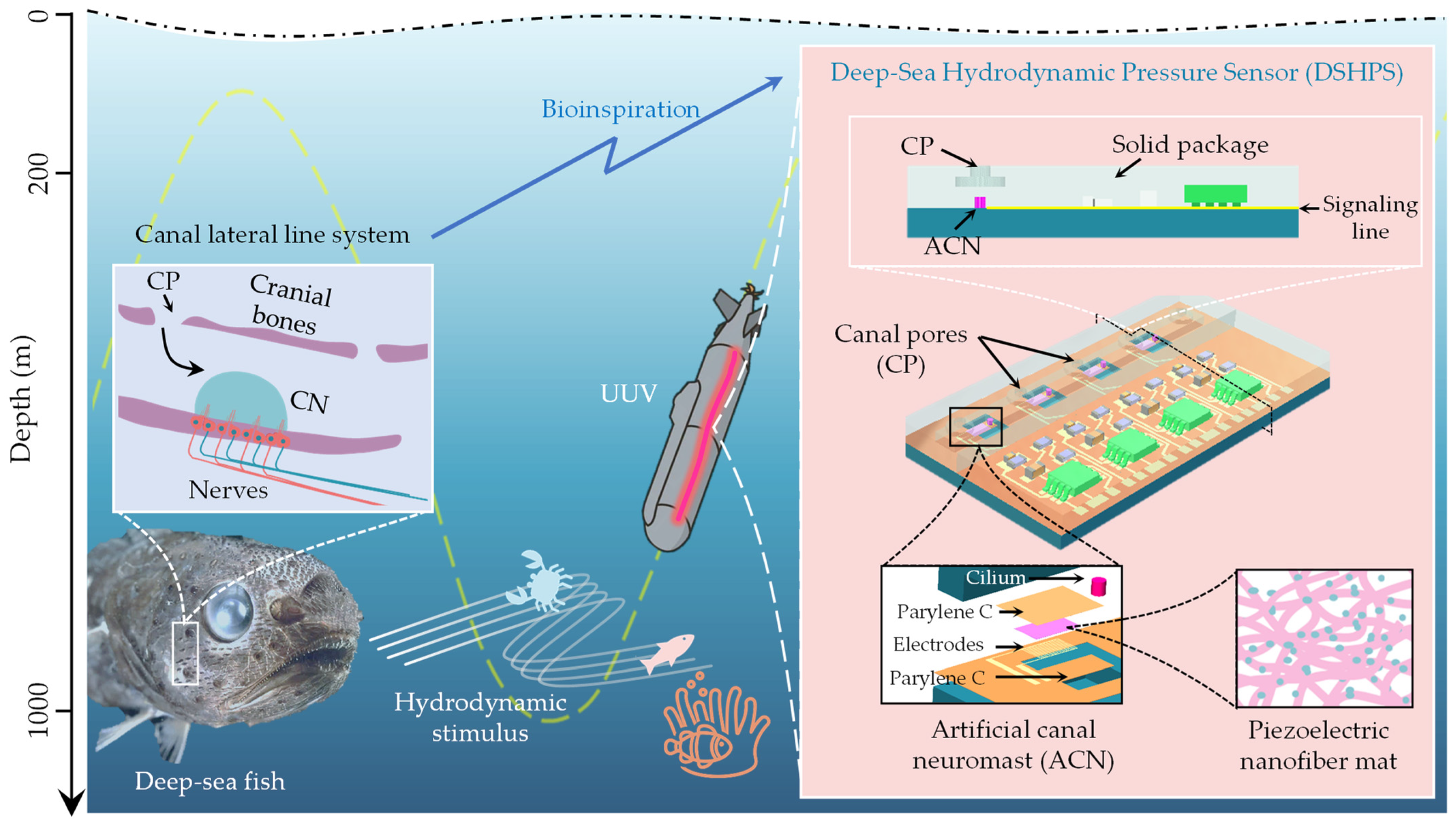 Biomimetics 09 00190 g001