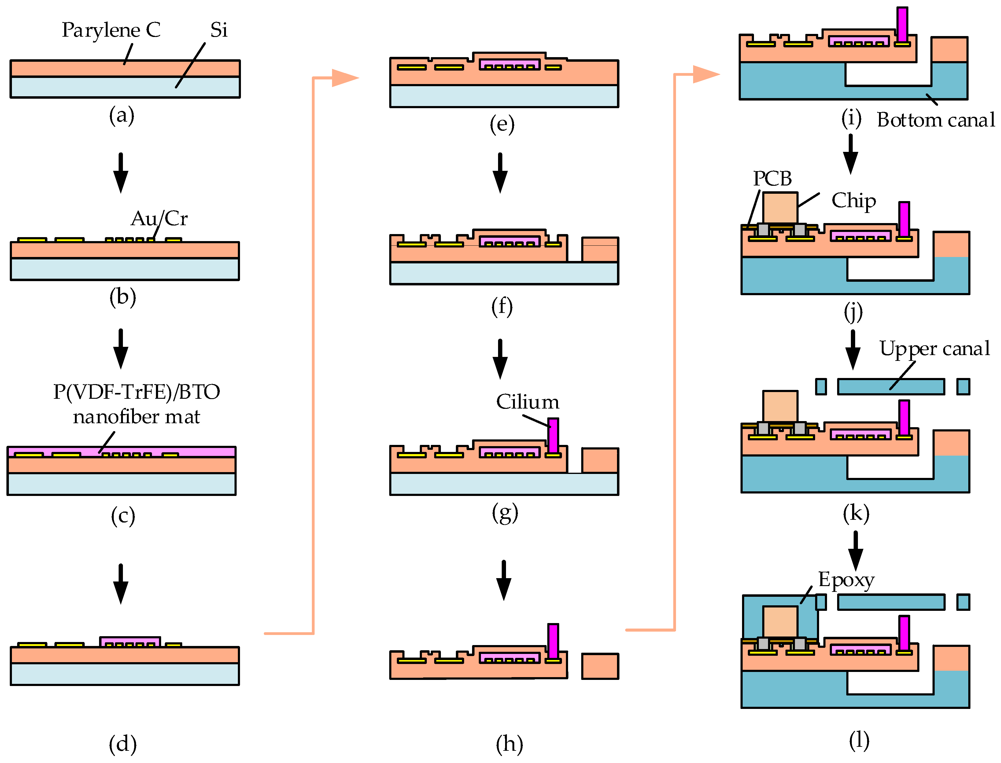 Biomimetics 09 00190 g002