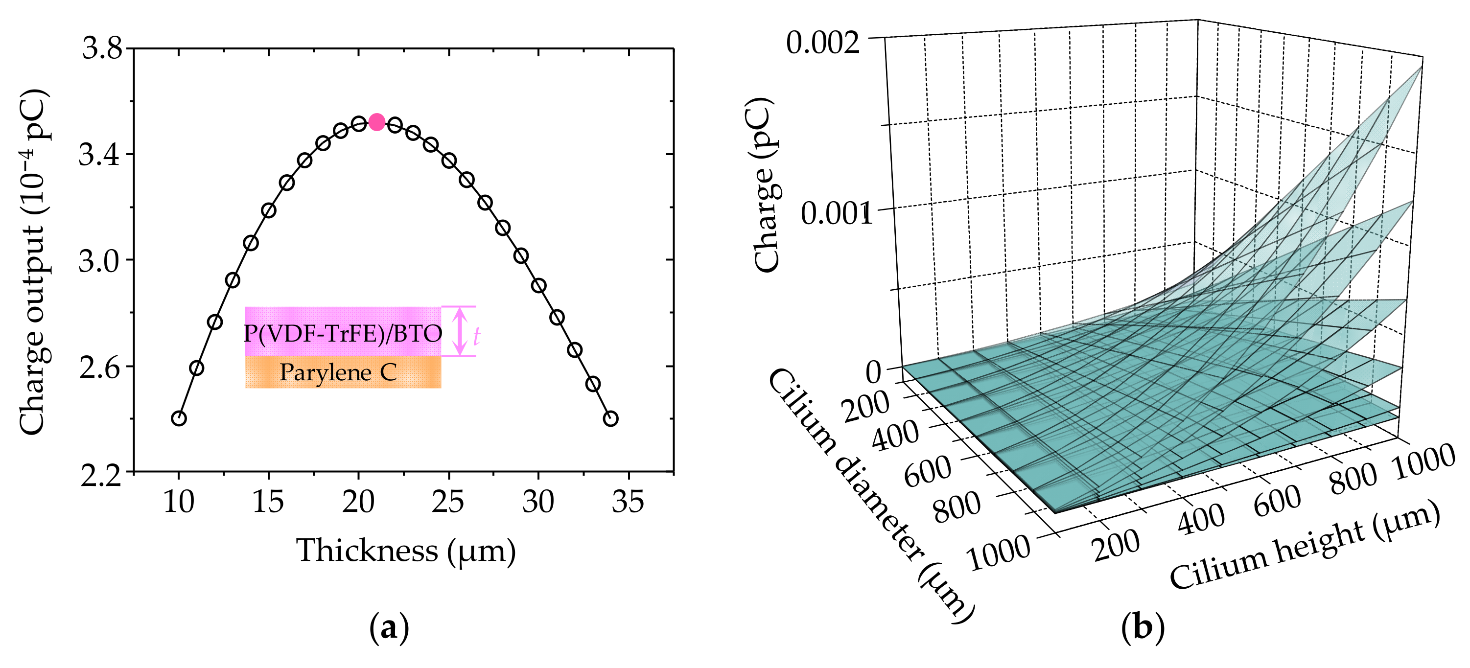 Biomimetics 09 00190 g006