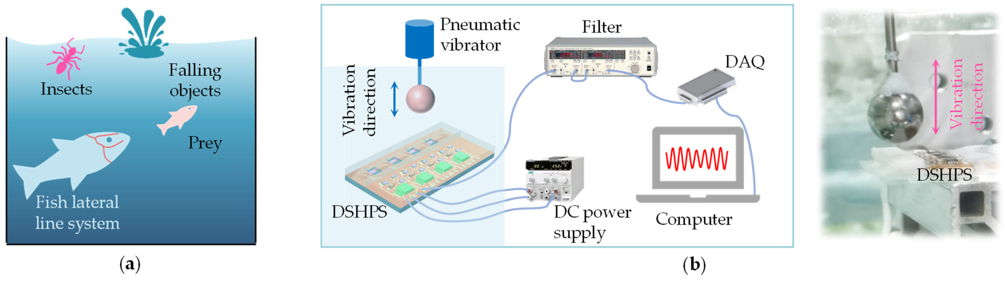 Biomimetics 09 00190 g011