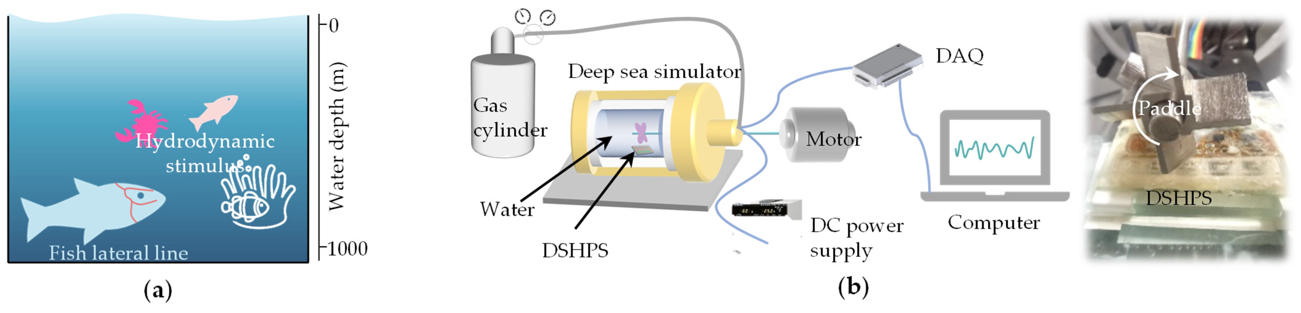 Biomimetics 09 00190 g016