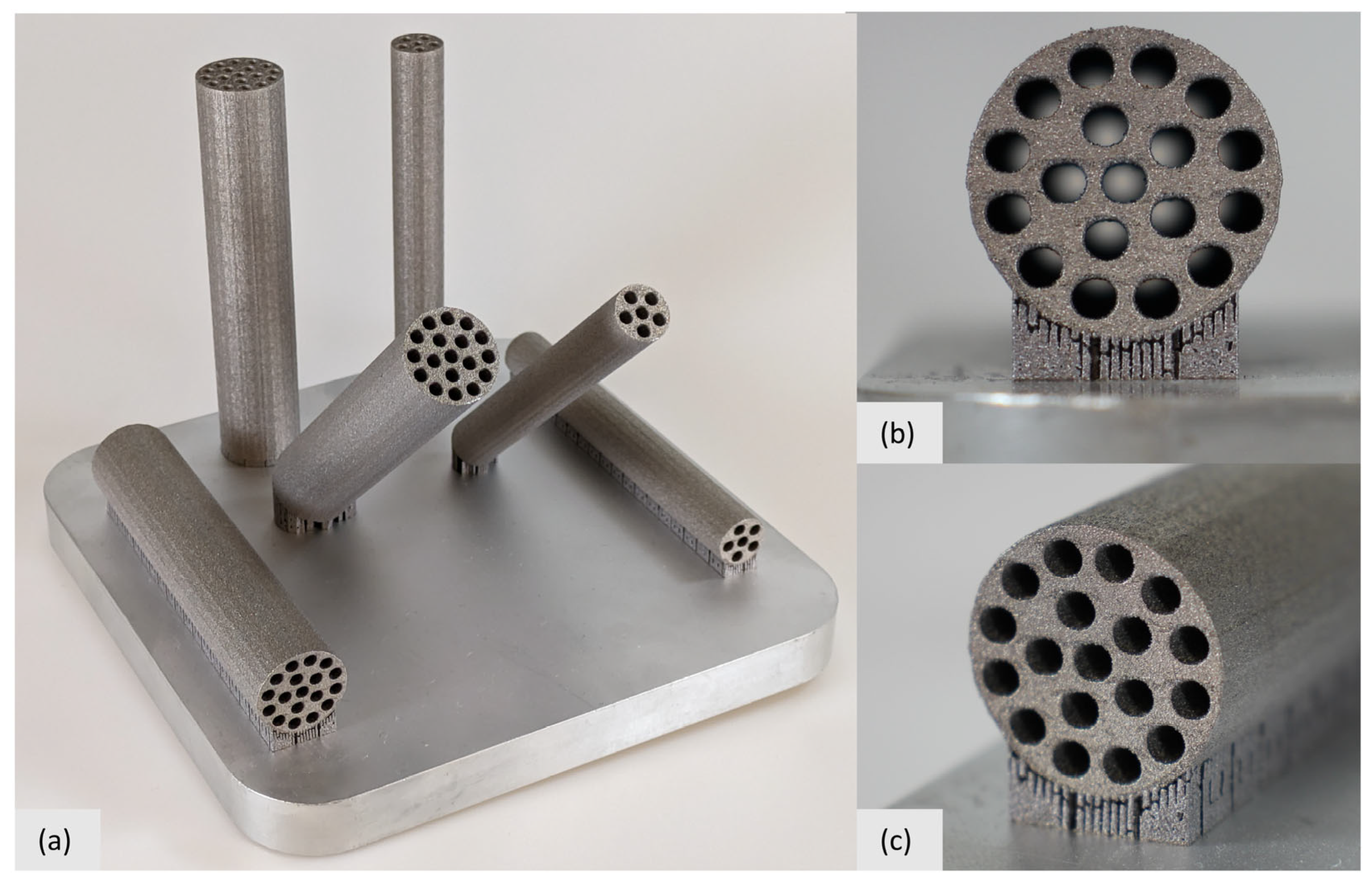 Biomimetics 09 00214 g007