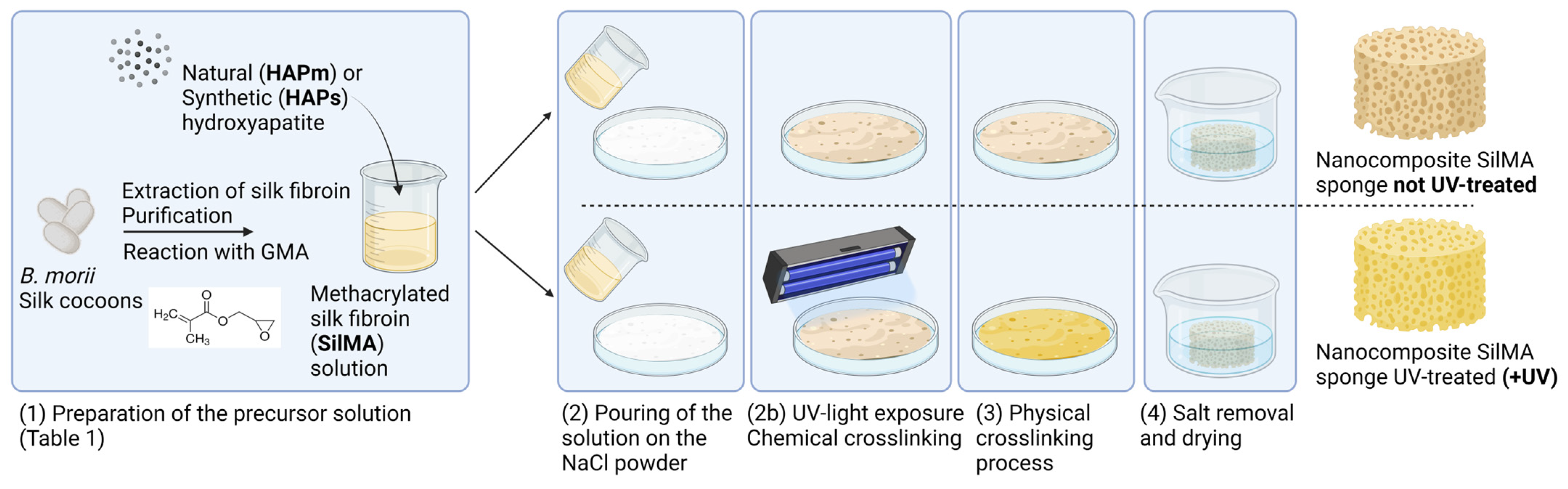 Biomimetics 09 00218 g001