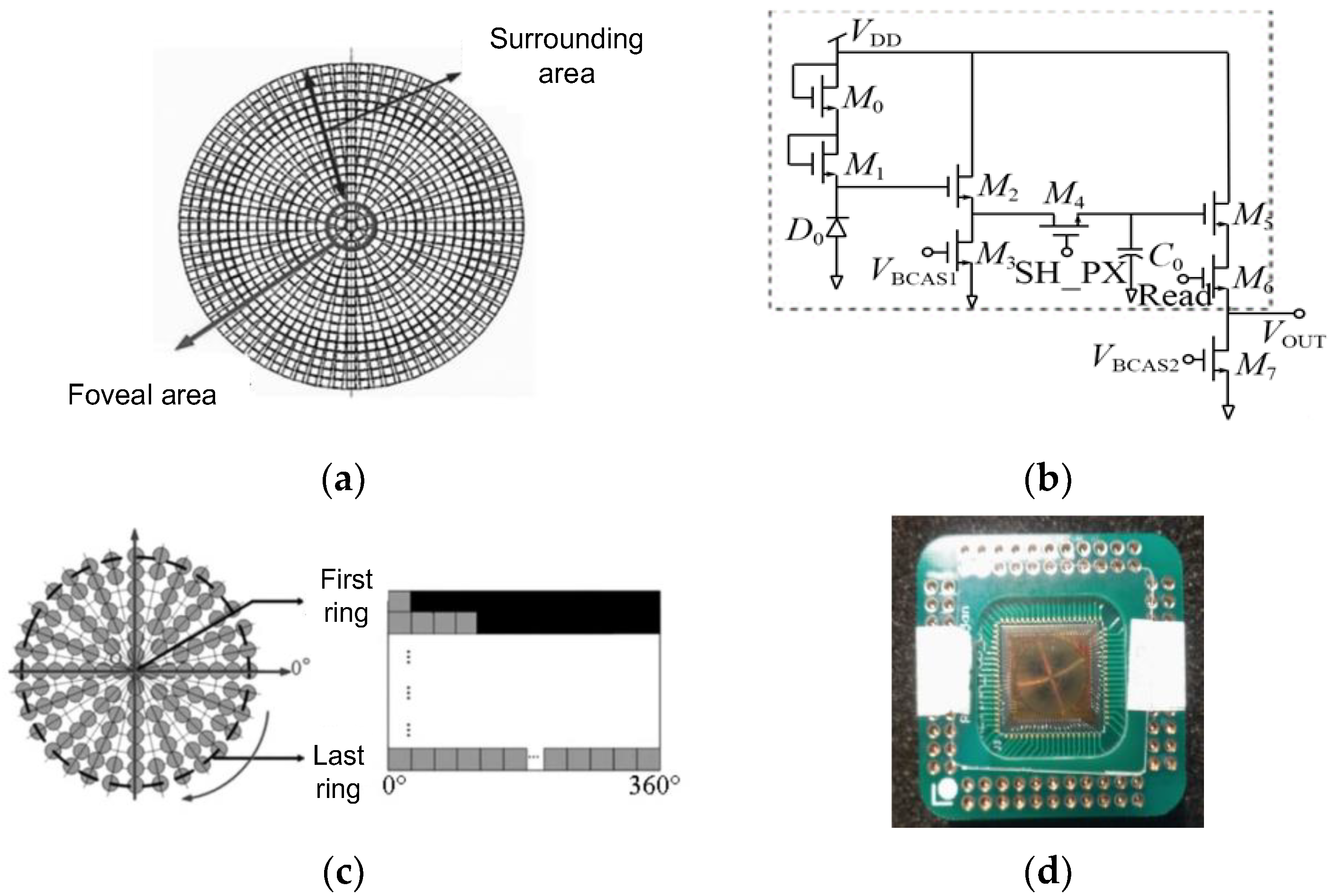 Biomimetics 09 00220 g004