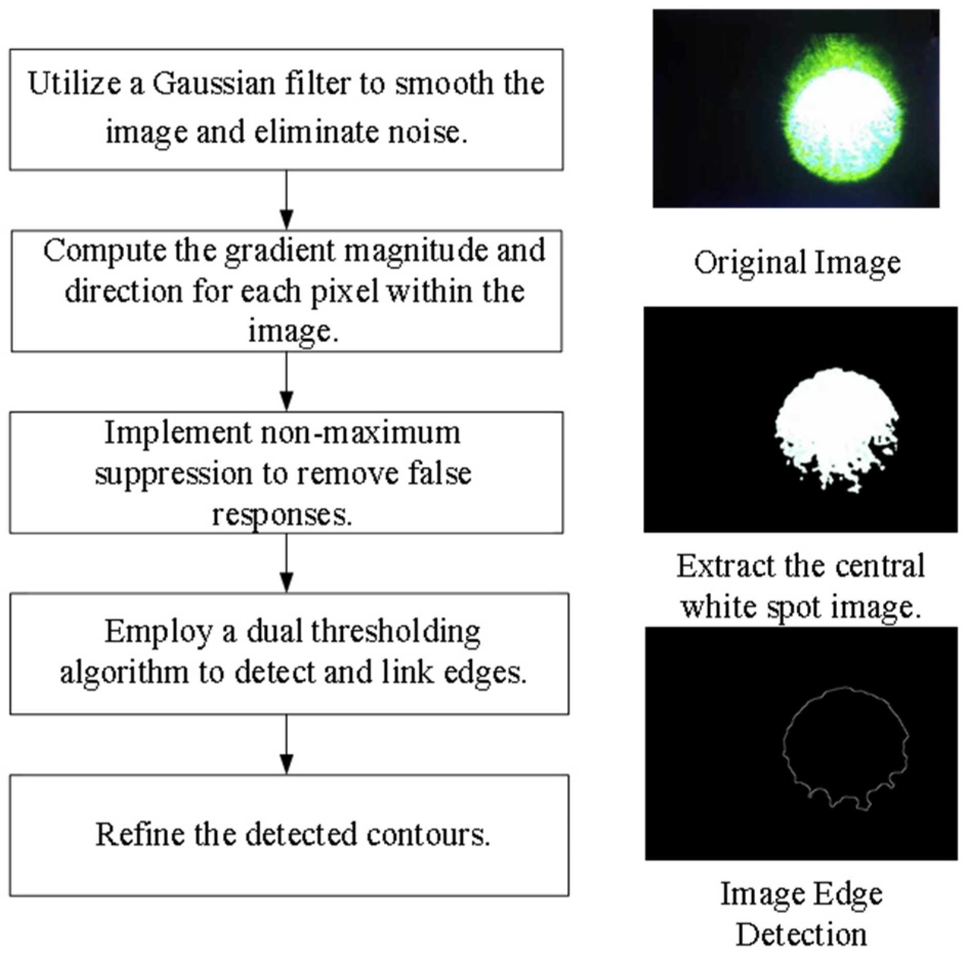 Biomimetics 09 00220 g005