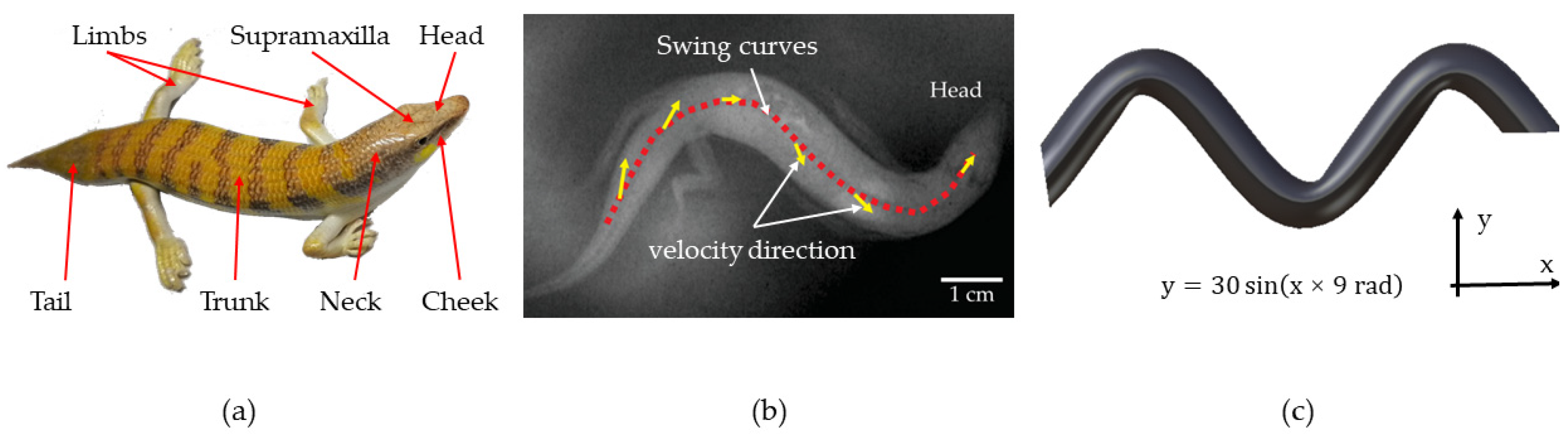 Biomimetics 09 00224 g001 Biomimetics 09 00224 g001