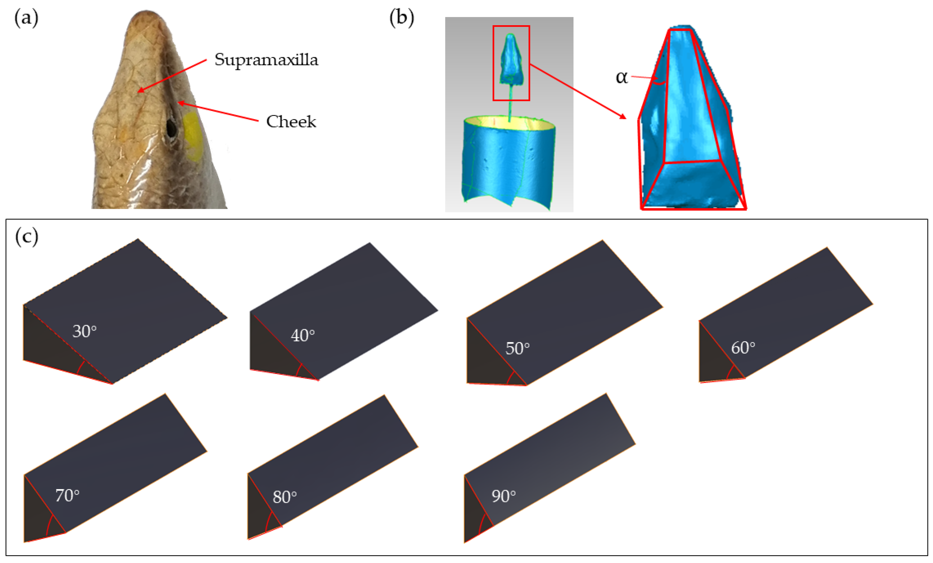 Biomimetics 09 00224 g002 Biomimetics 09 00224 g002
