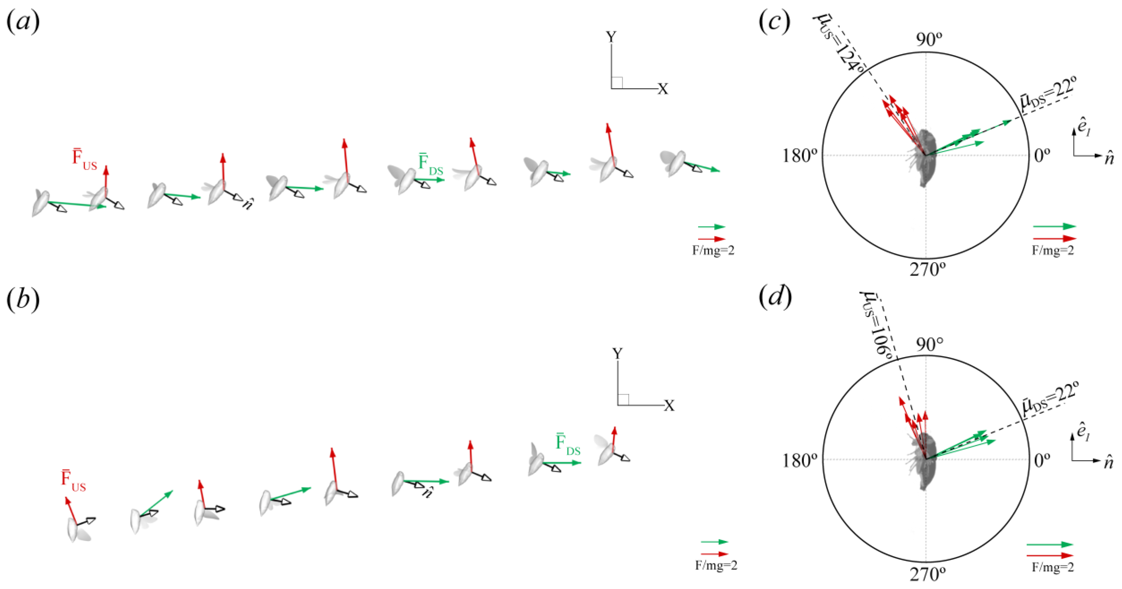Biomimetics 09 00233 g007