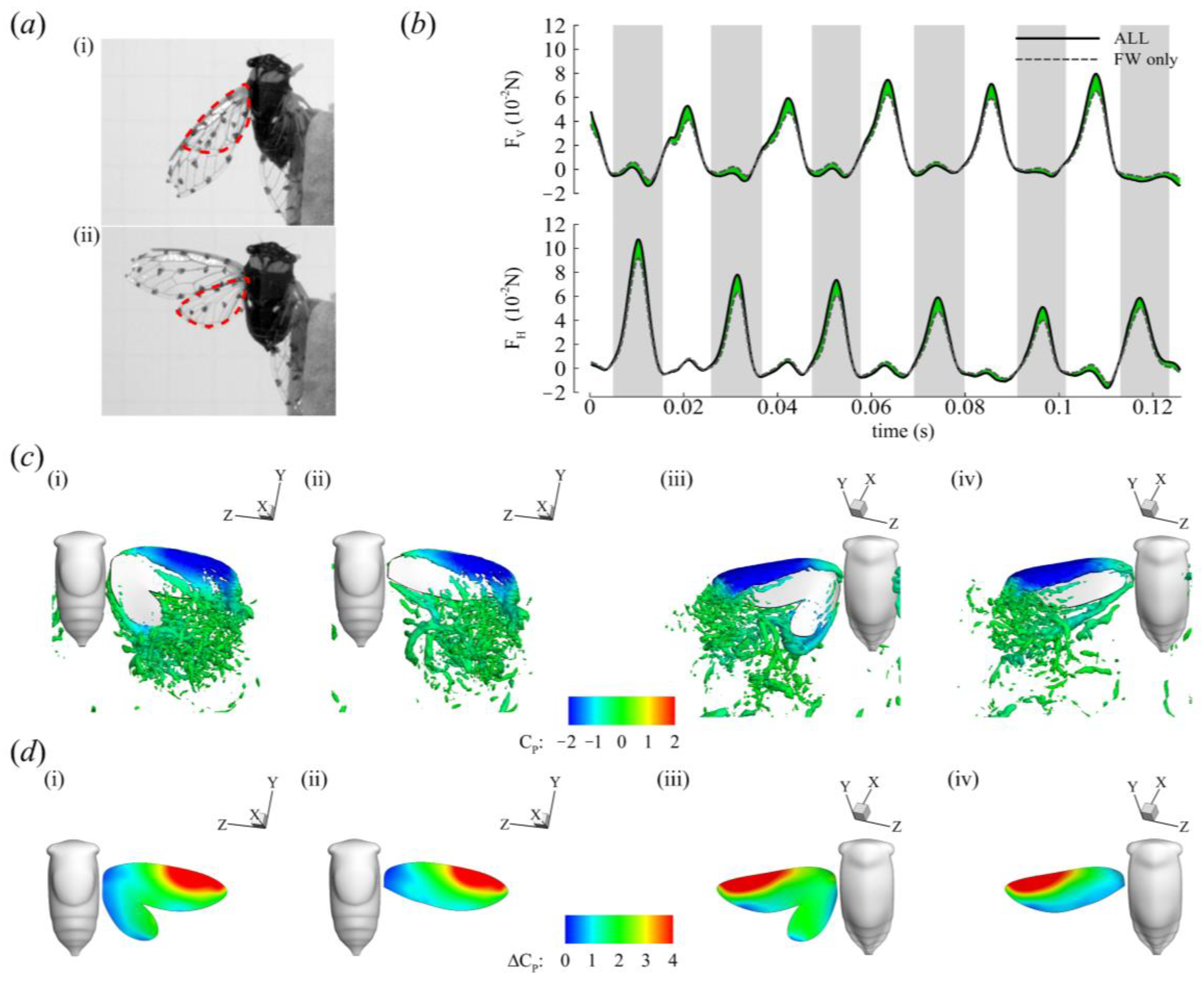 Biomimetics 09 00233 g010