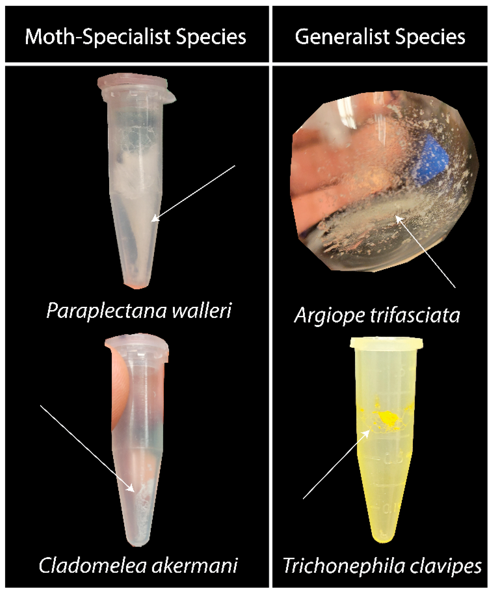 Biomimetics 09 00256 g001 Biomimetics 09 00256 g001