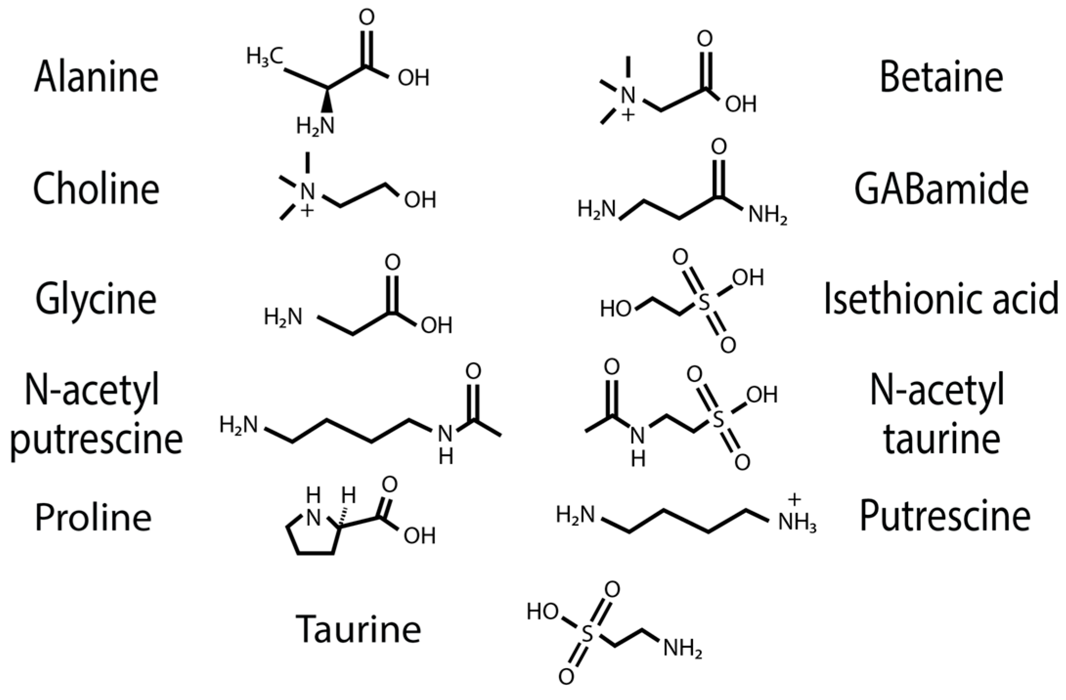 Biomimetics 09 00256 g008 Biomimetics 09 00256 g008