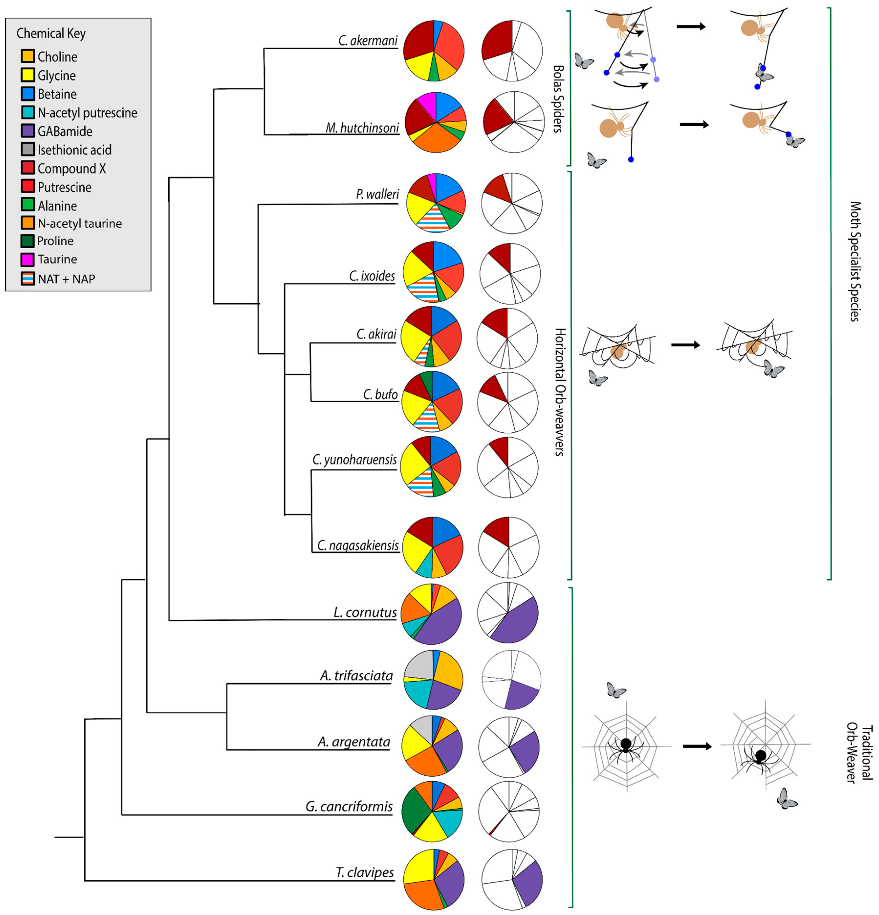 Biomimetics 09 00256 g009 Biomimetics 09 00256 g009