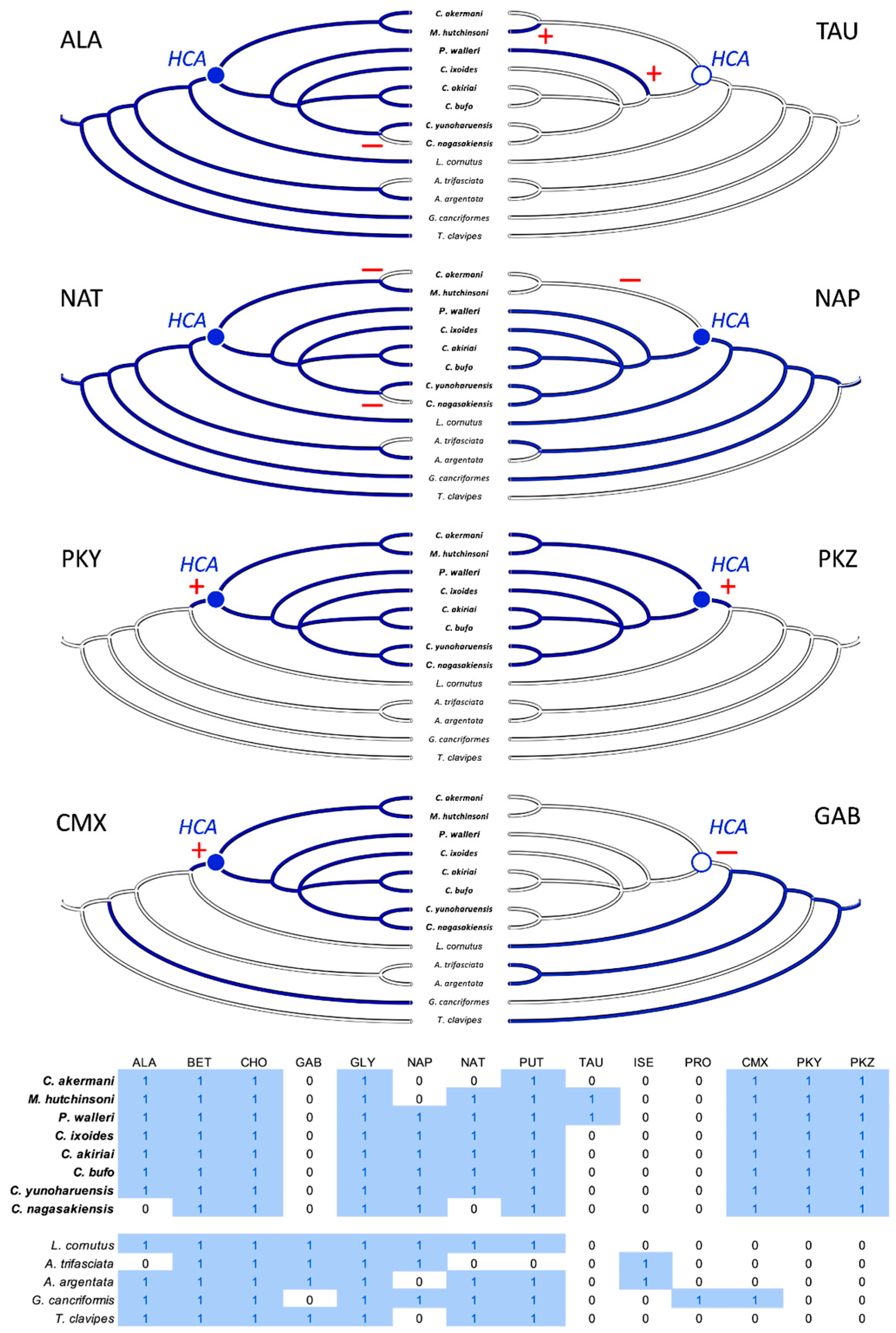 Biomimetics 09 00256 g010 Biomimetics 09 00256 g010