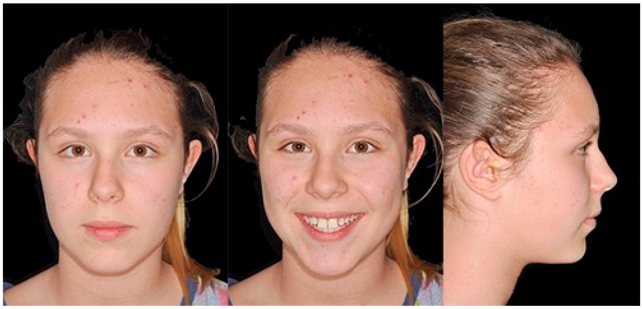 Biomimetics 09 00305 g002