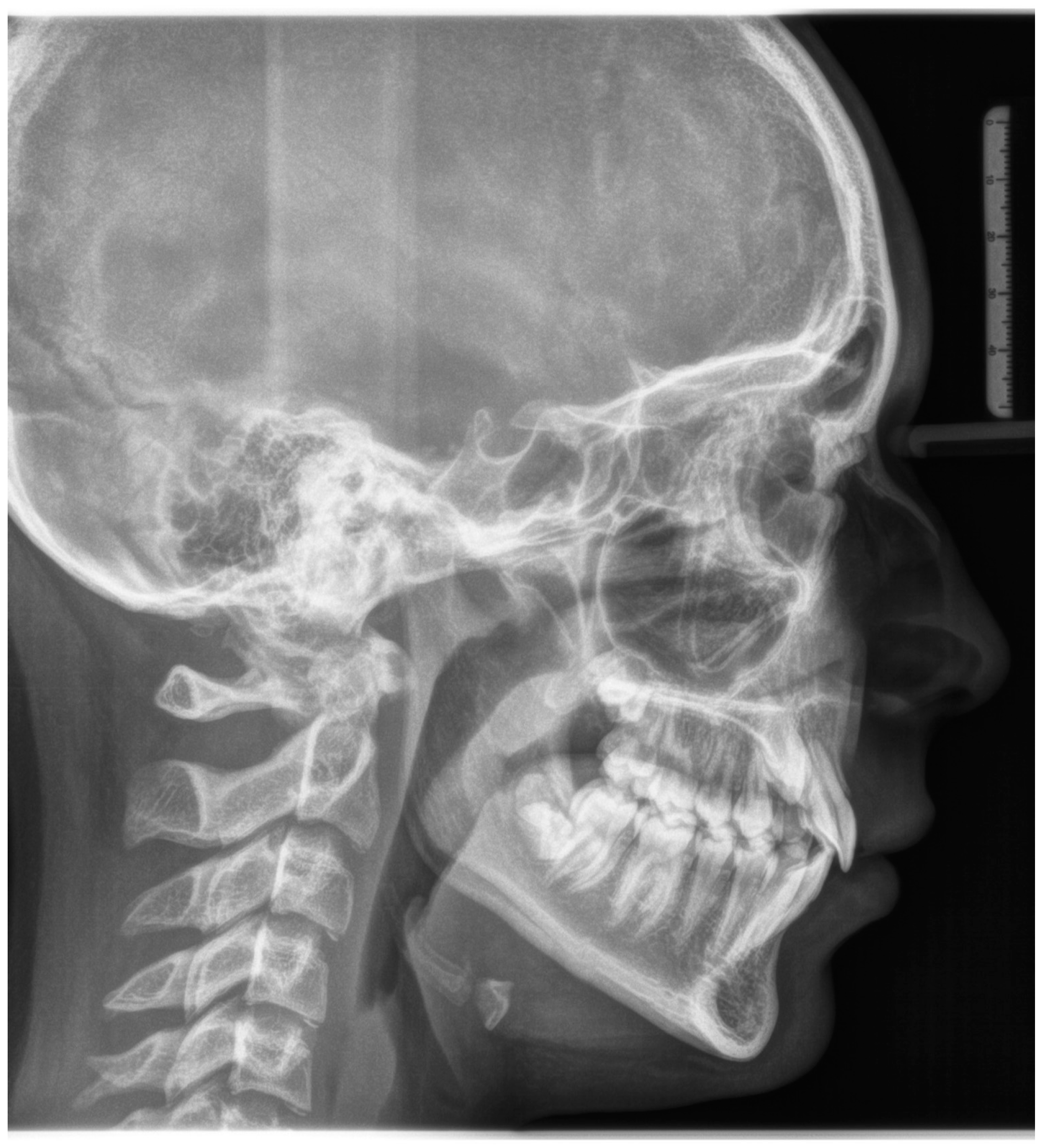 Biomimetics 09 00305 g003