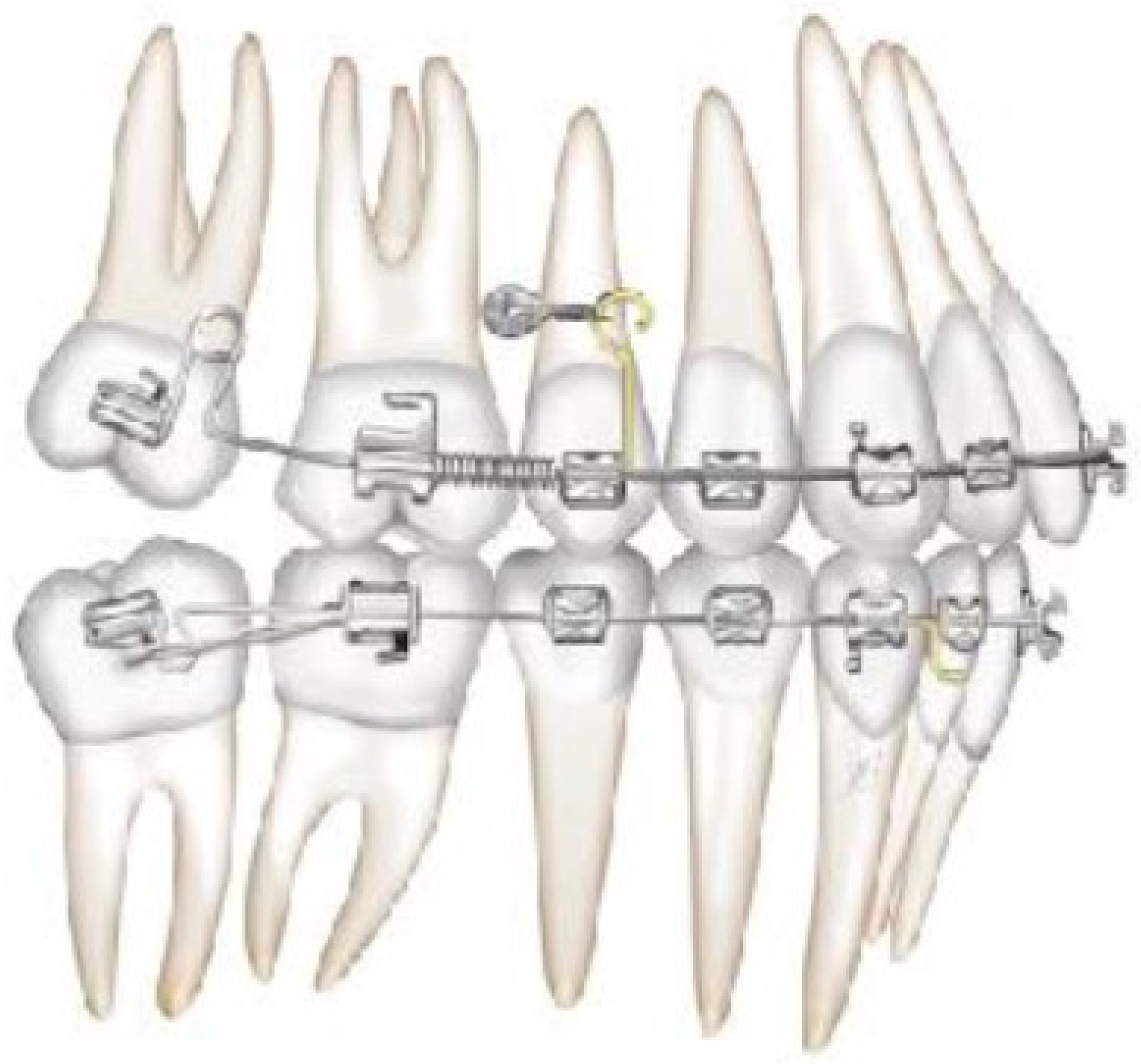 Biomimetics 09 00305 g005