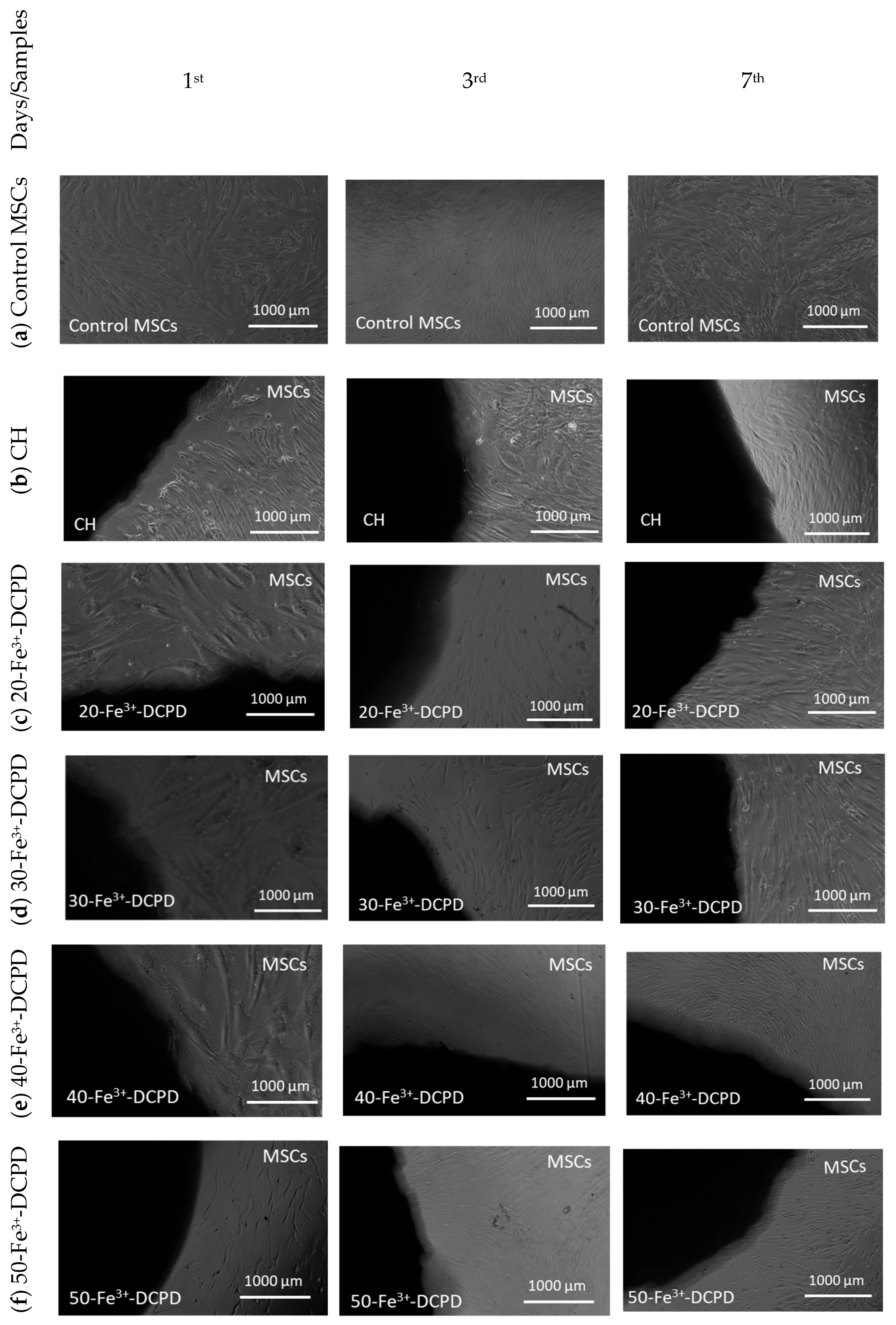 Biomimetics 09 00308 g009