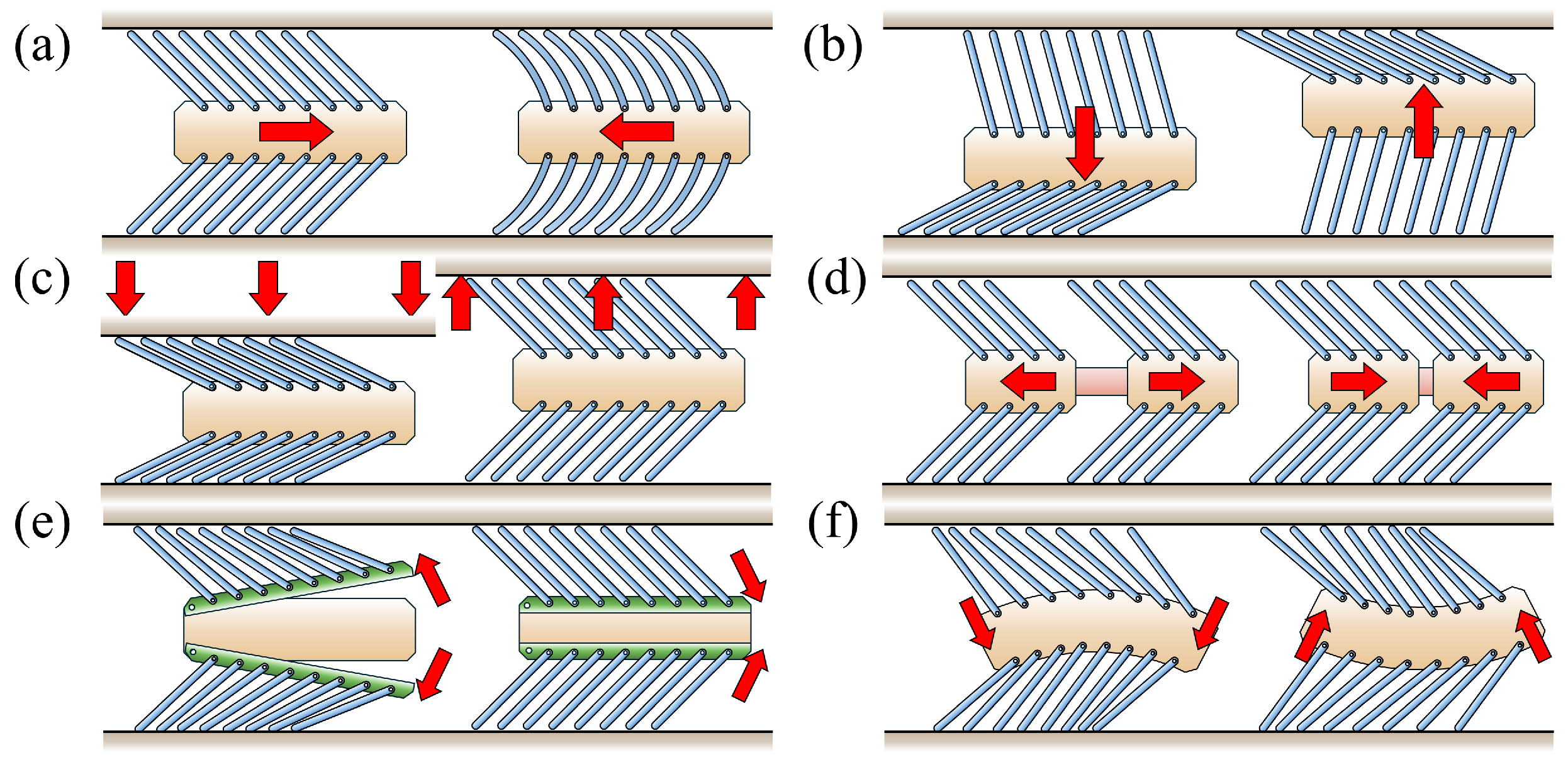 Biomimetics 09 00311 g003