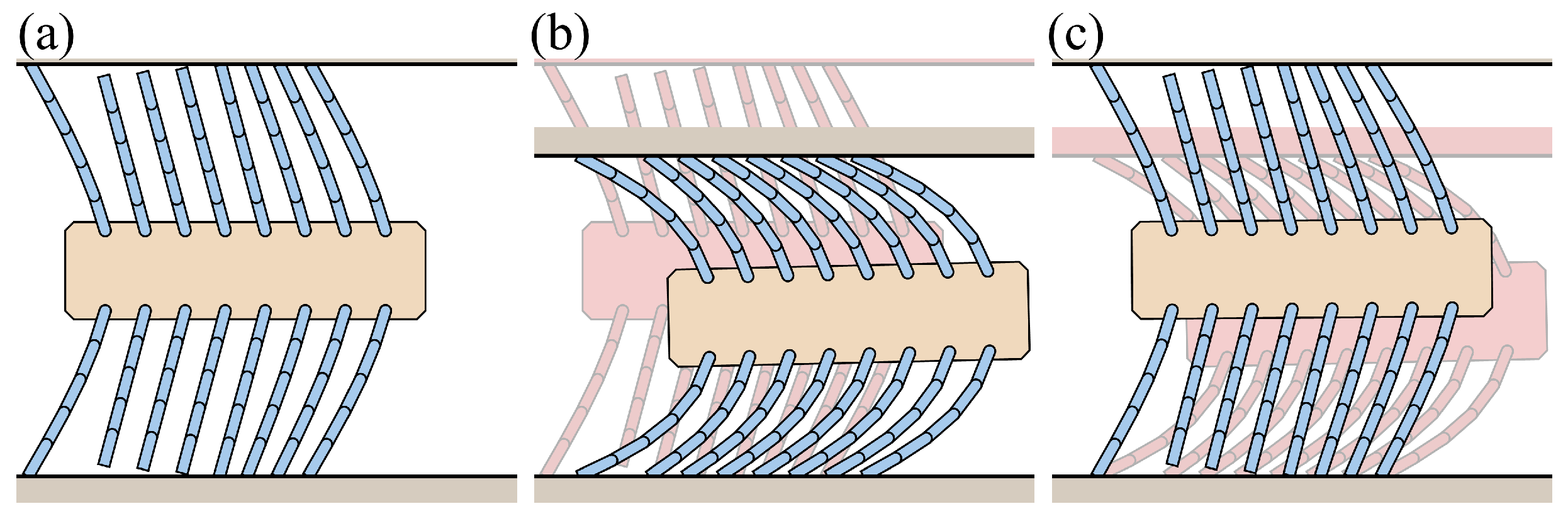 Biomimetics 09 00311 g024