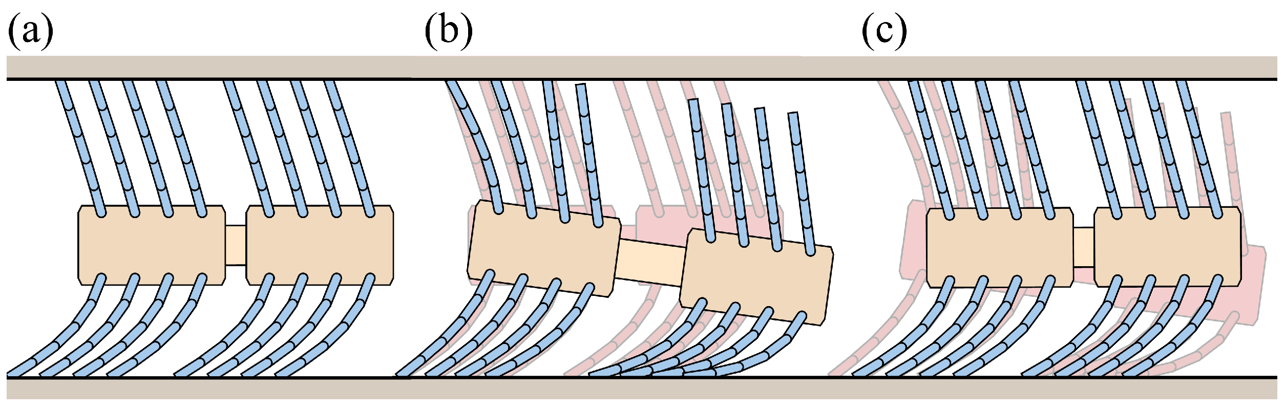Biomimetics 09 00311 g035