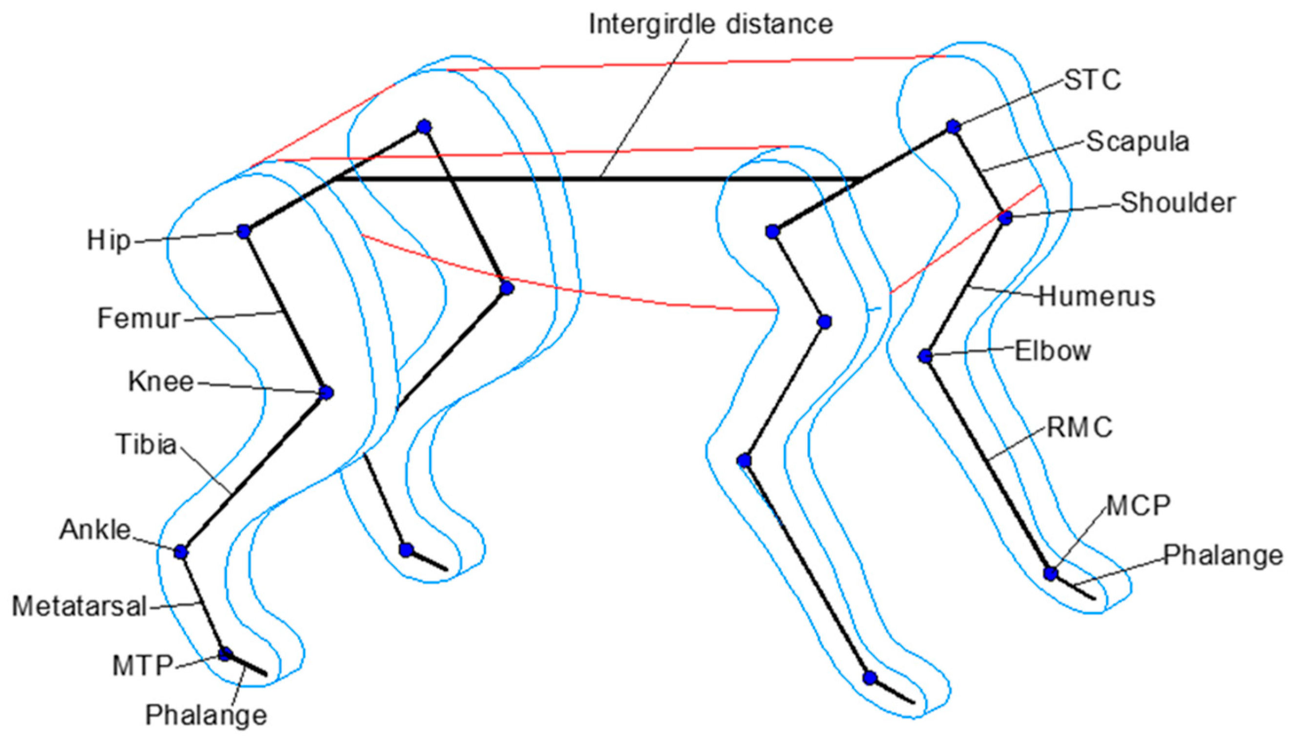 Biomimetics 09 00318 g001
