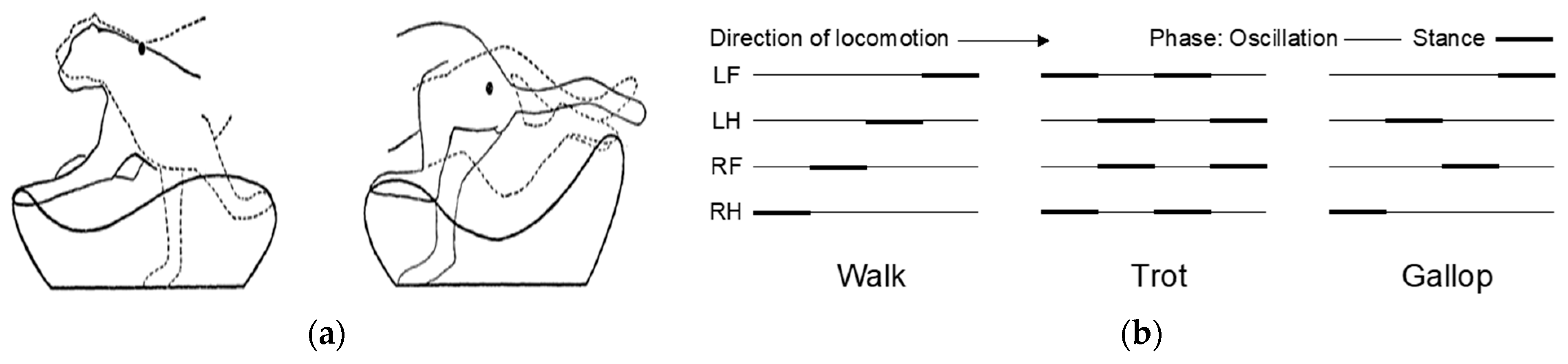 Biomimetics 09 00318 g002