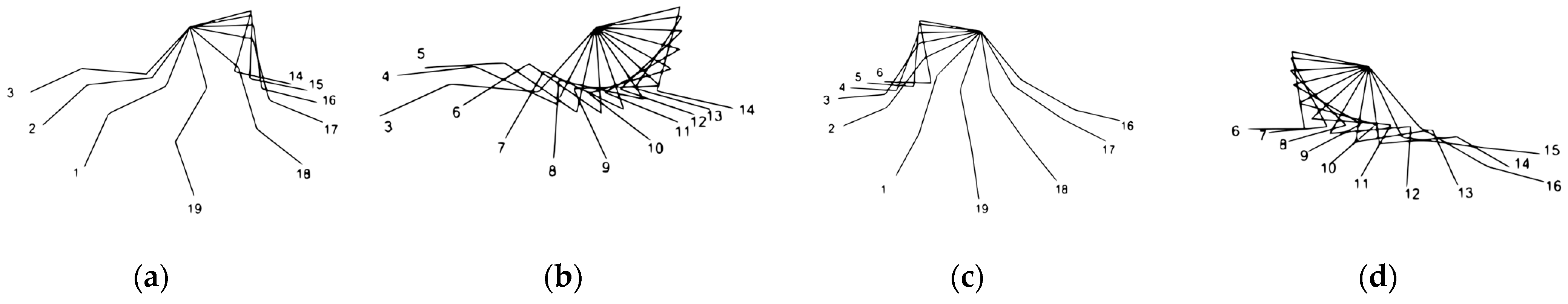 Biomimetics 09 00318 g003