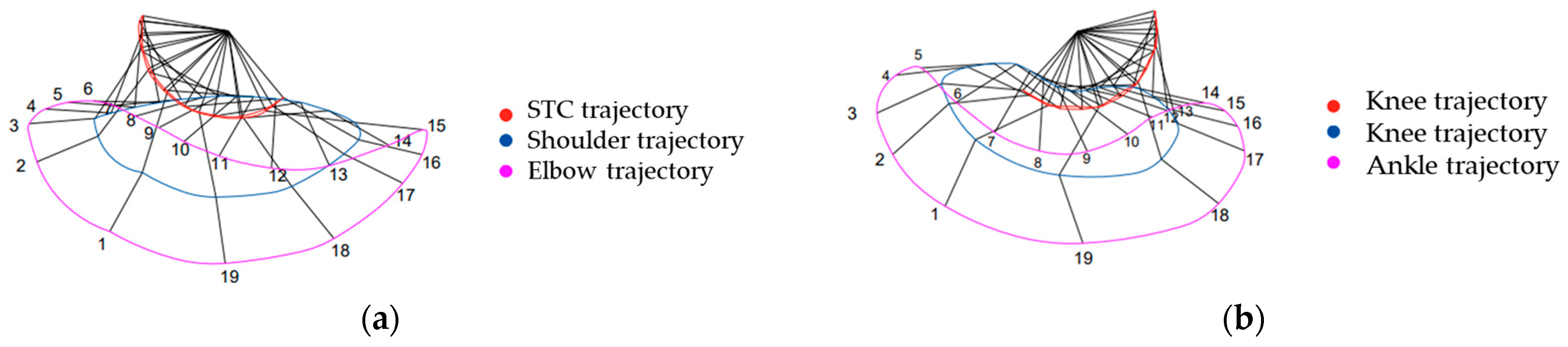 Biomimetics 09 00318 g004