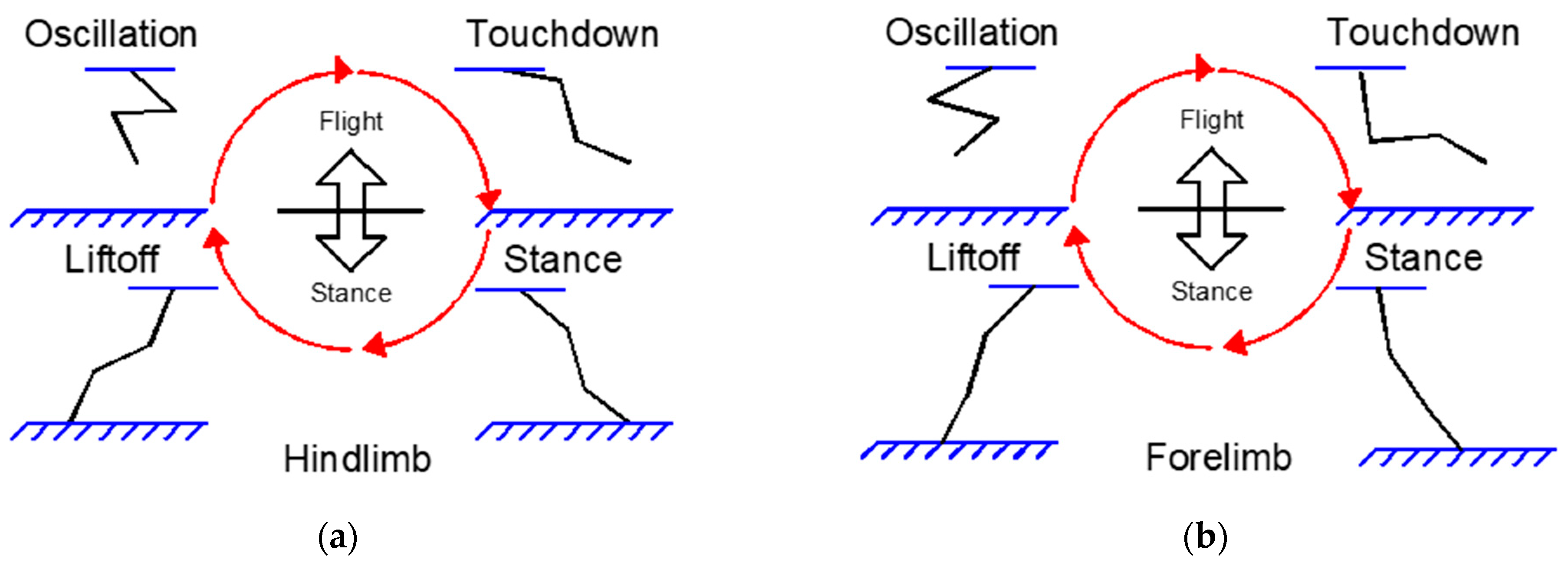 Biomimetics 09 00318 g006