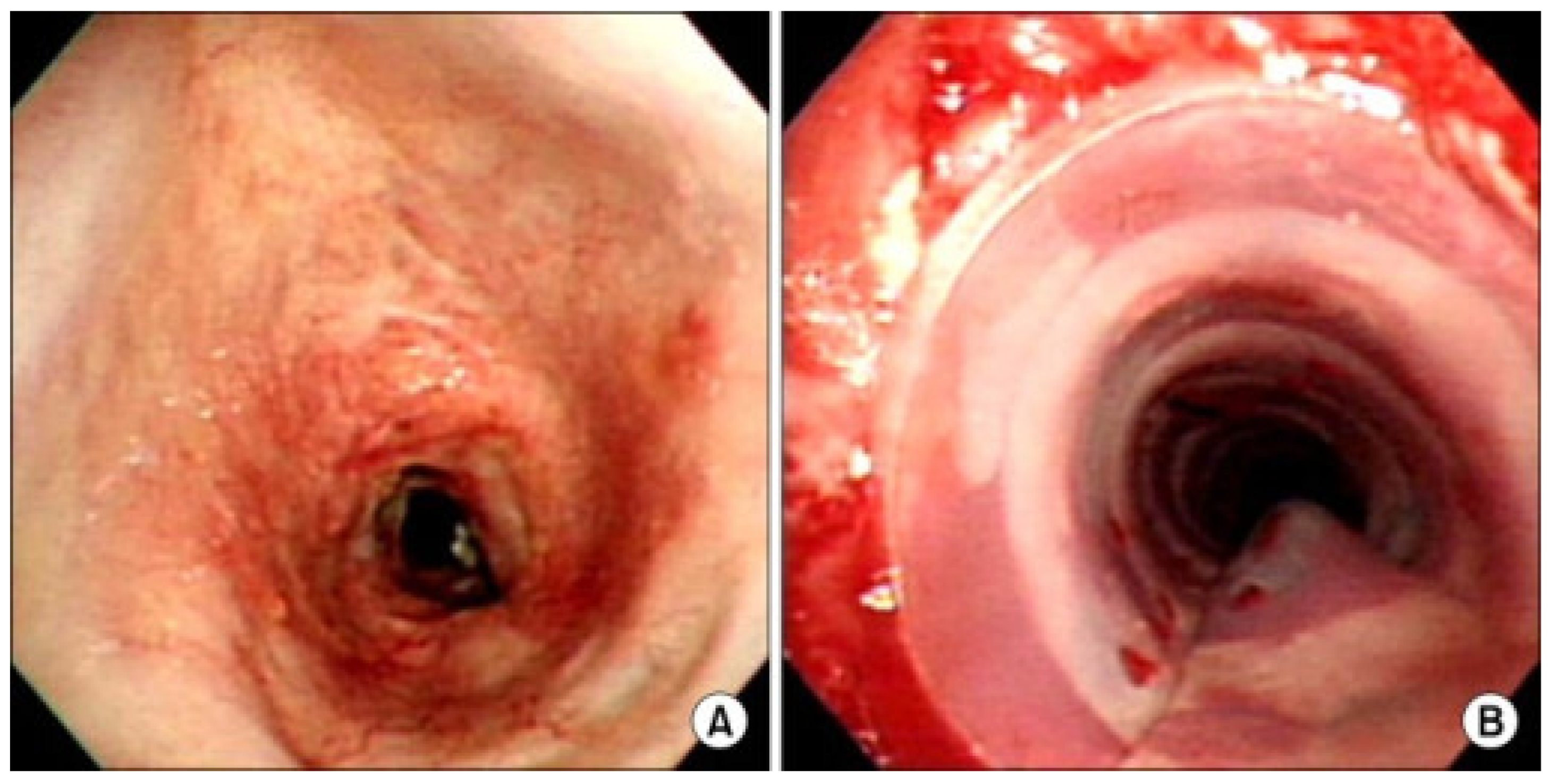 Biomimetics 09 00327 g001