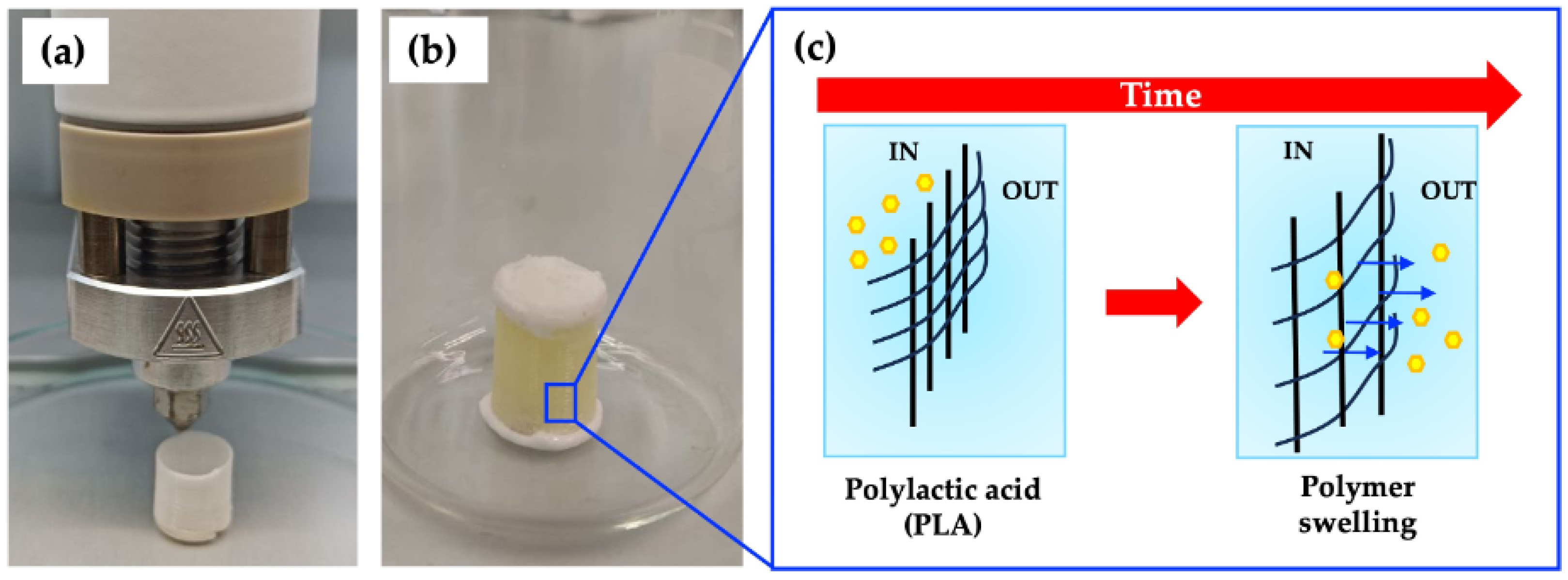 Biomimetics 09 00342 g003