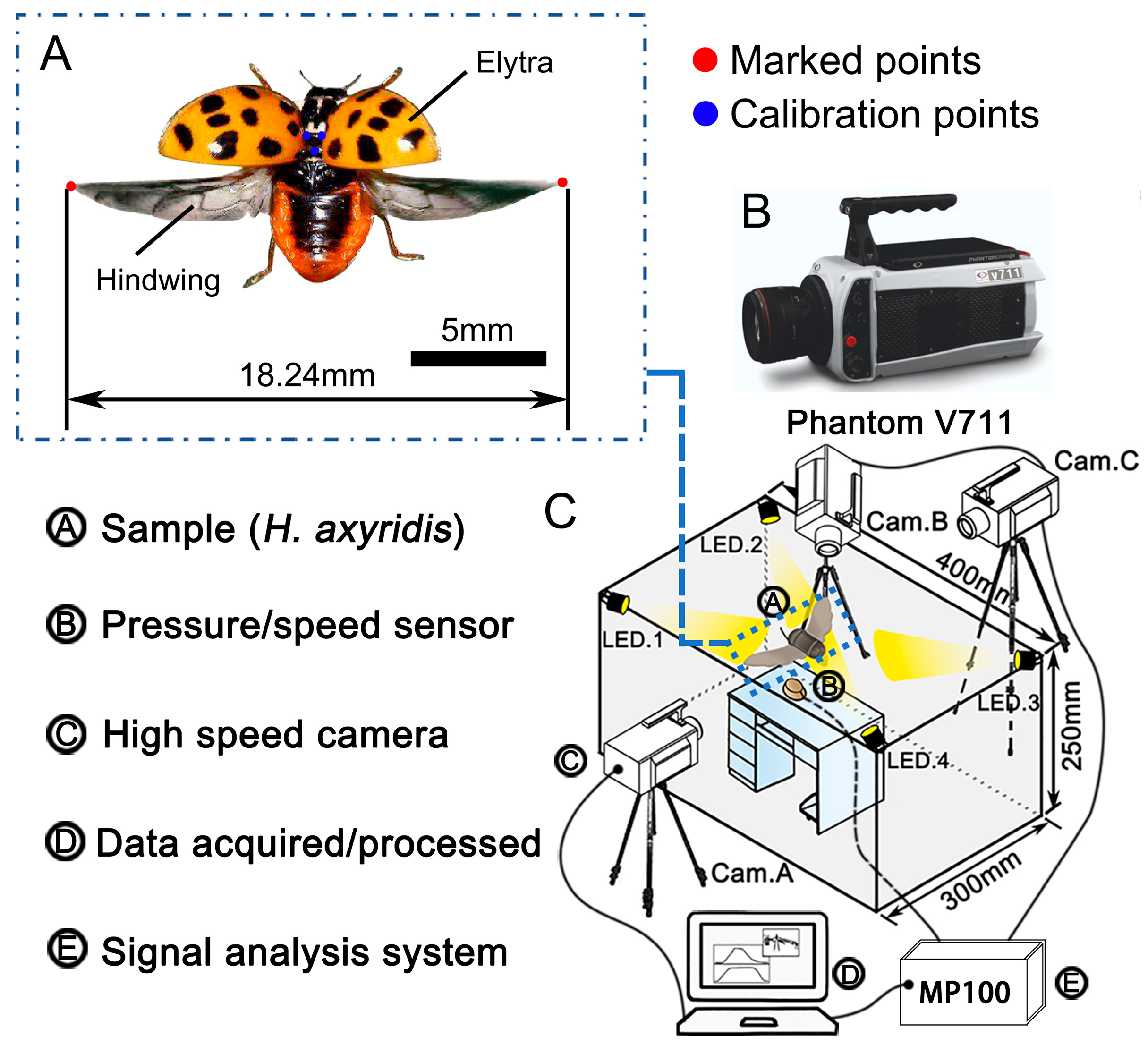 Biomimetics 09 00343 g001