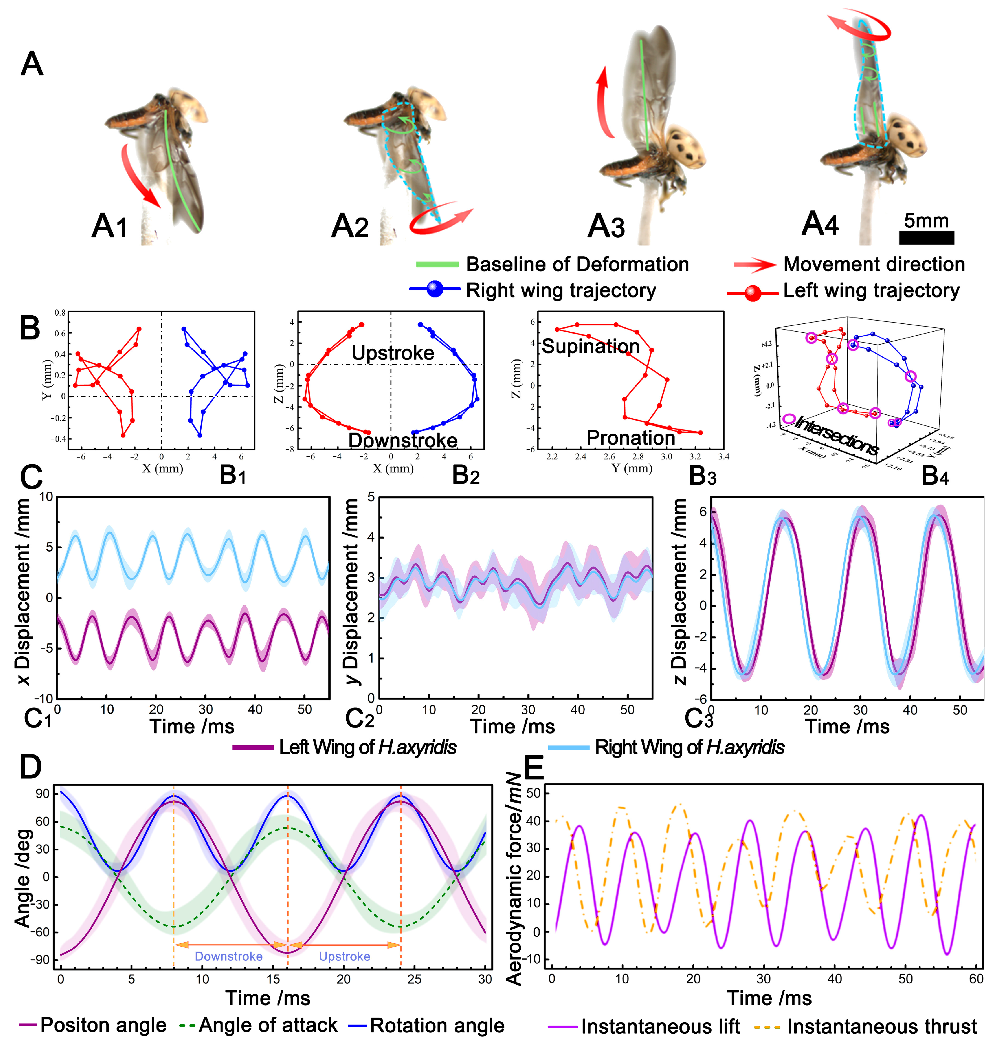 Biomimetics 09 00343 g002